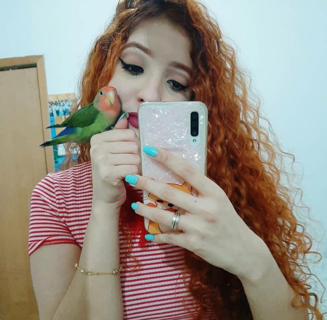 Trabalho de Aline Cristine — foto 12