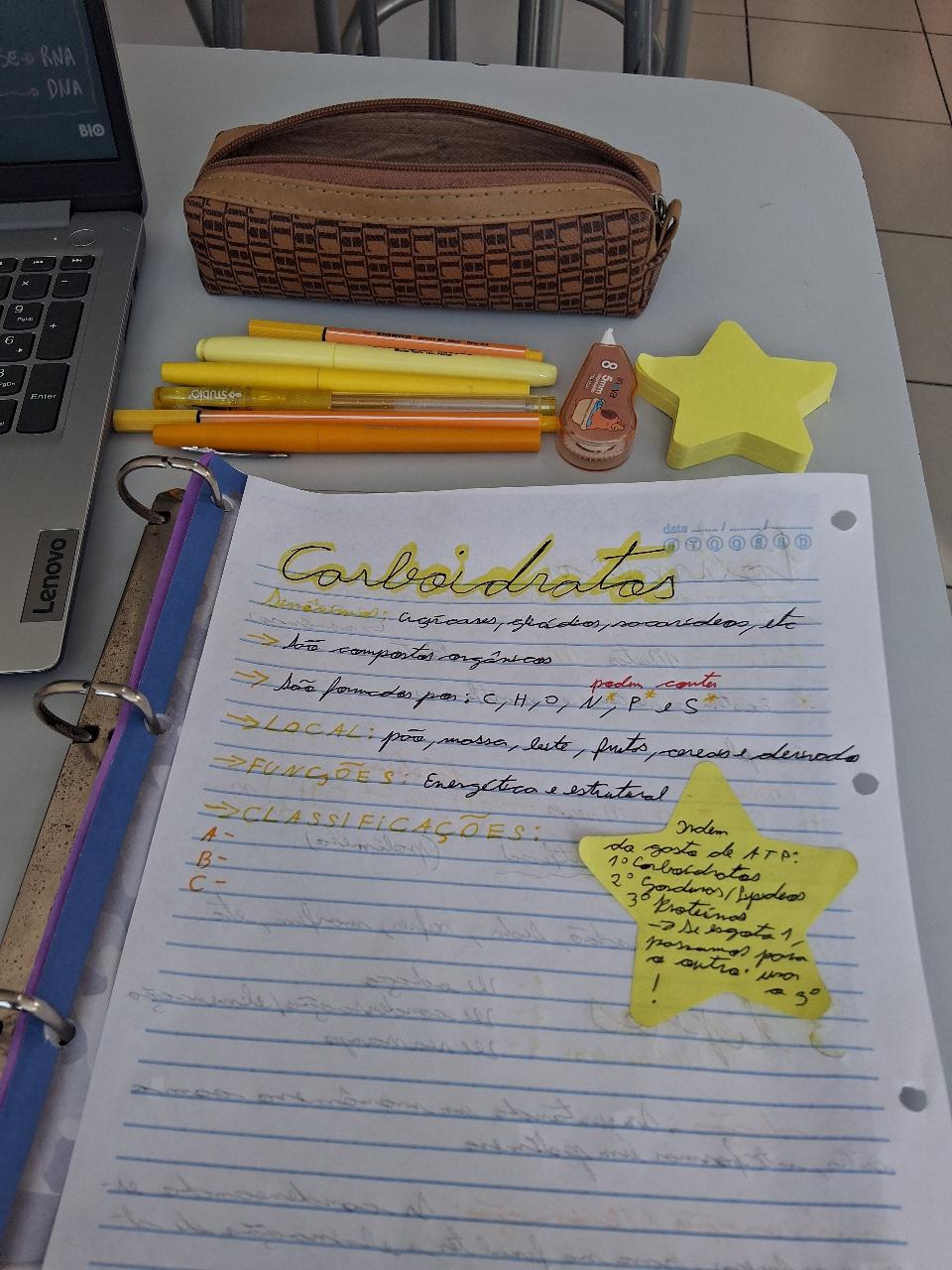 Trabalho de Sarah Gabriela — foto 2