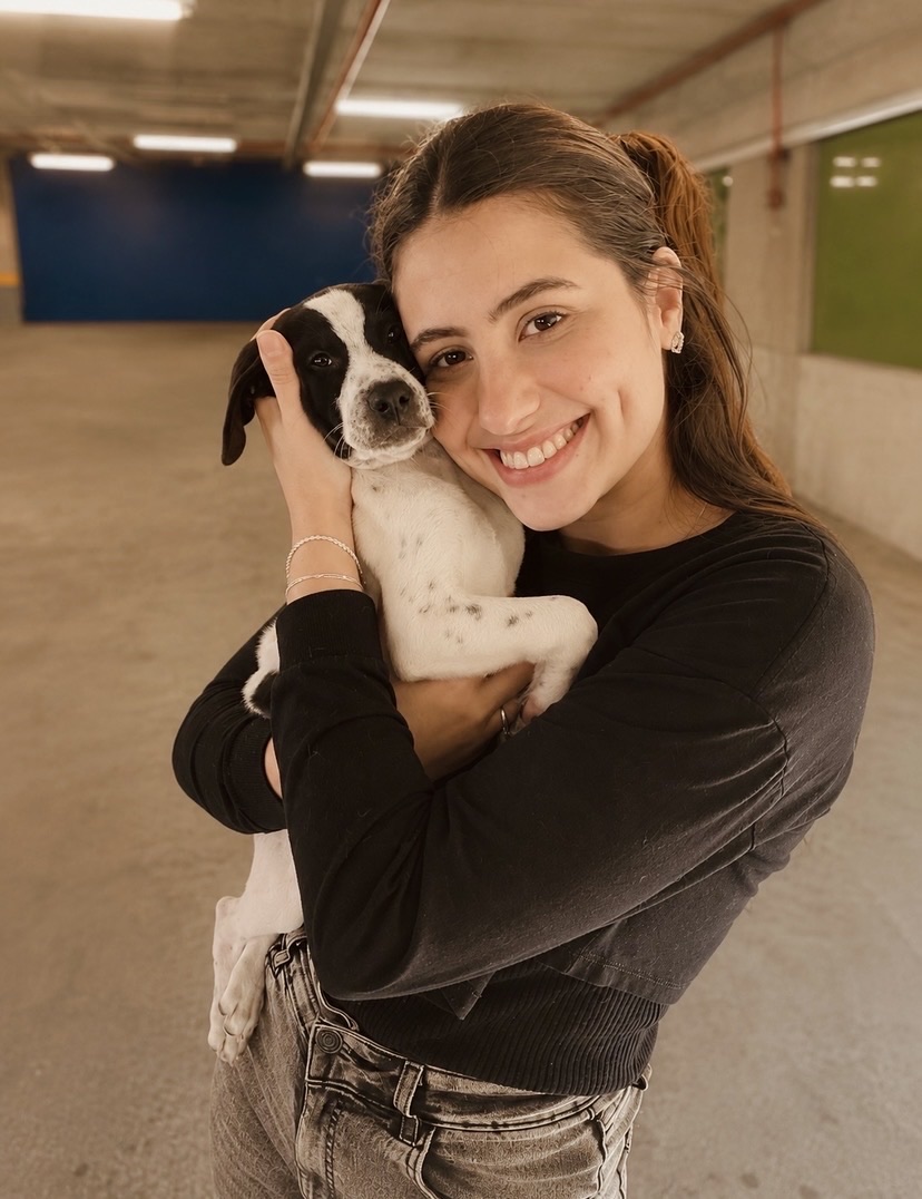 Trabalho de Laura Fontoura — foto 1