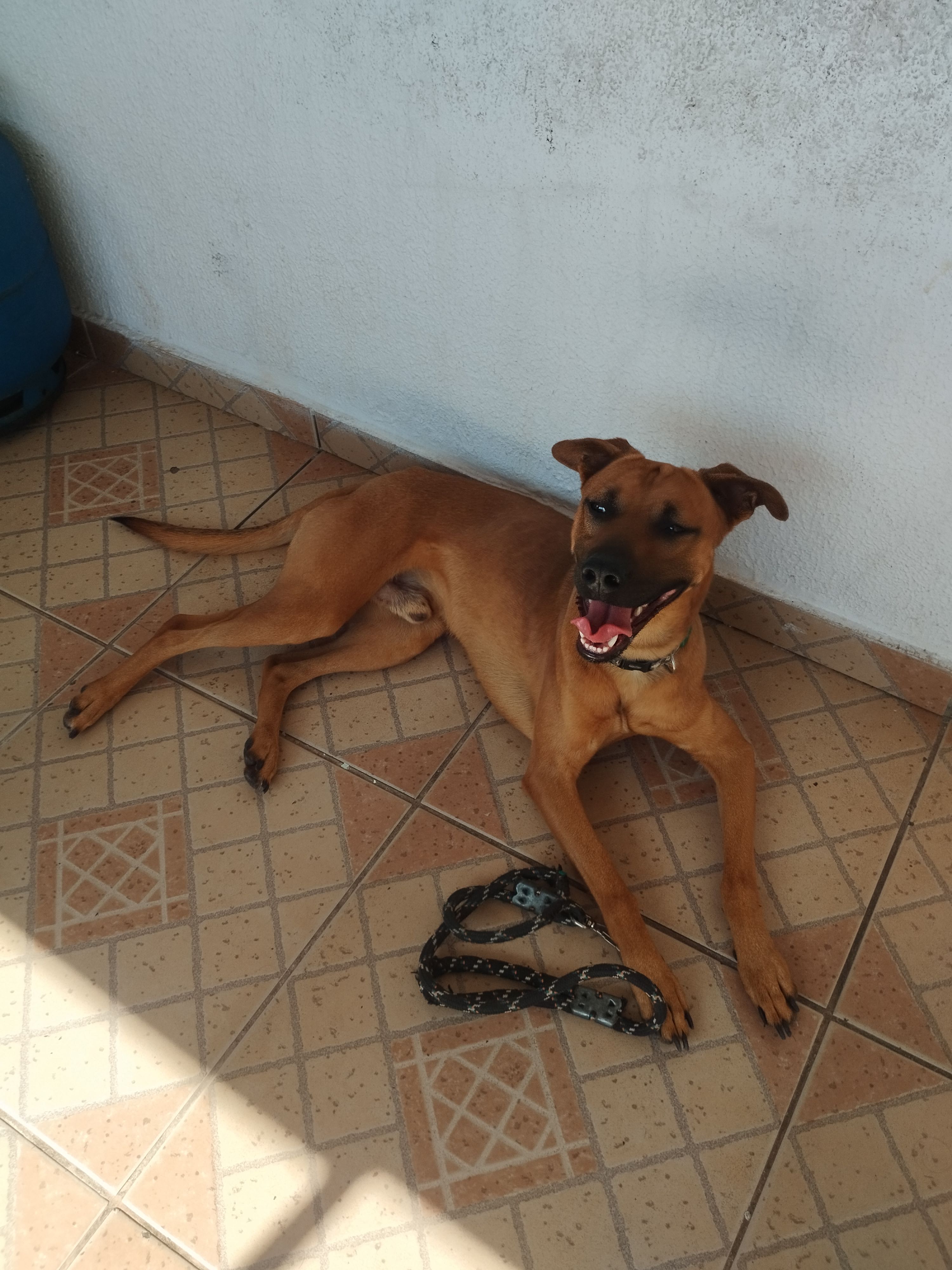 Galeria Thais silveira alves