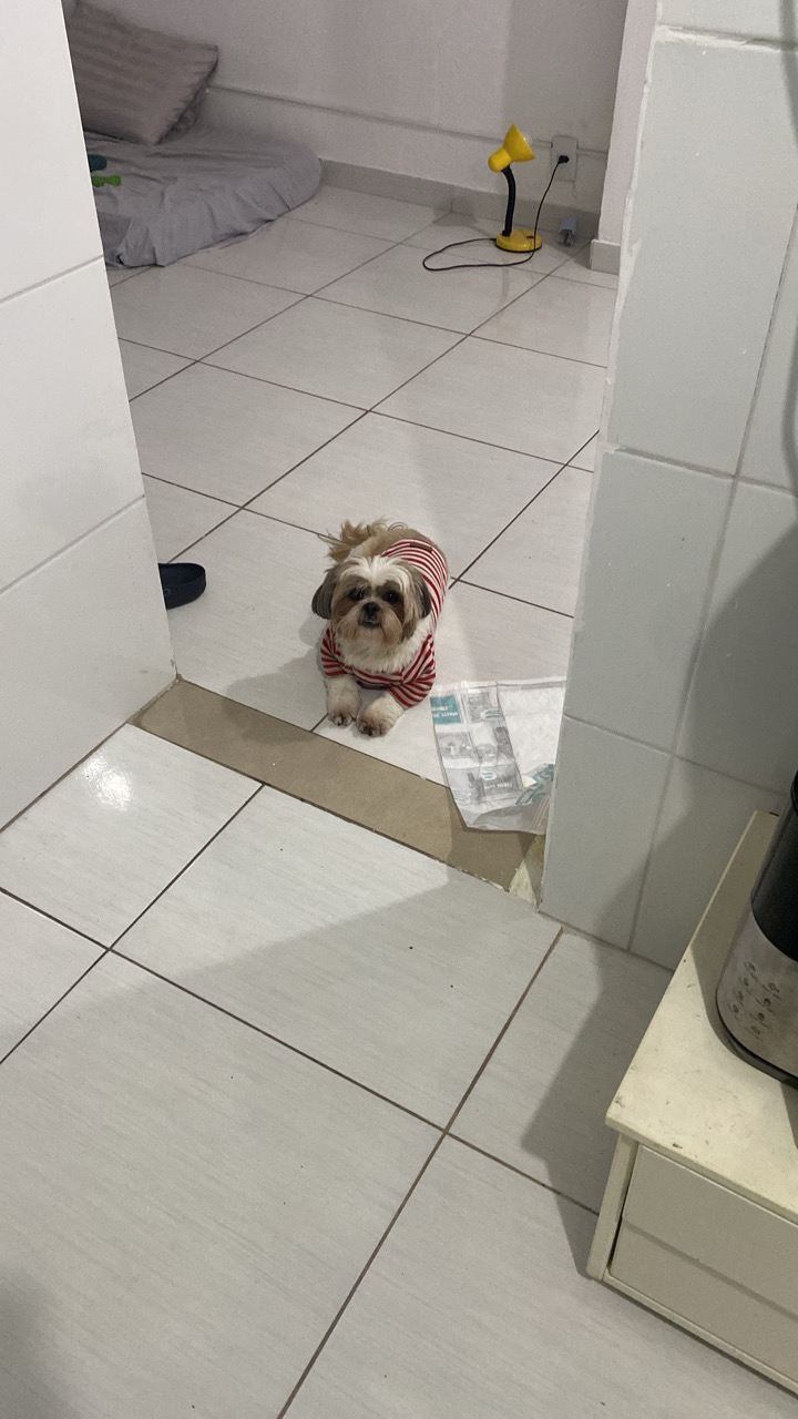 Trabalho de Eduarda Mendes — foto 1