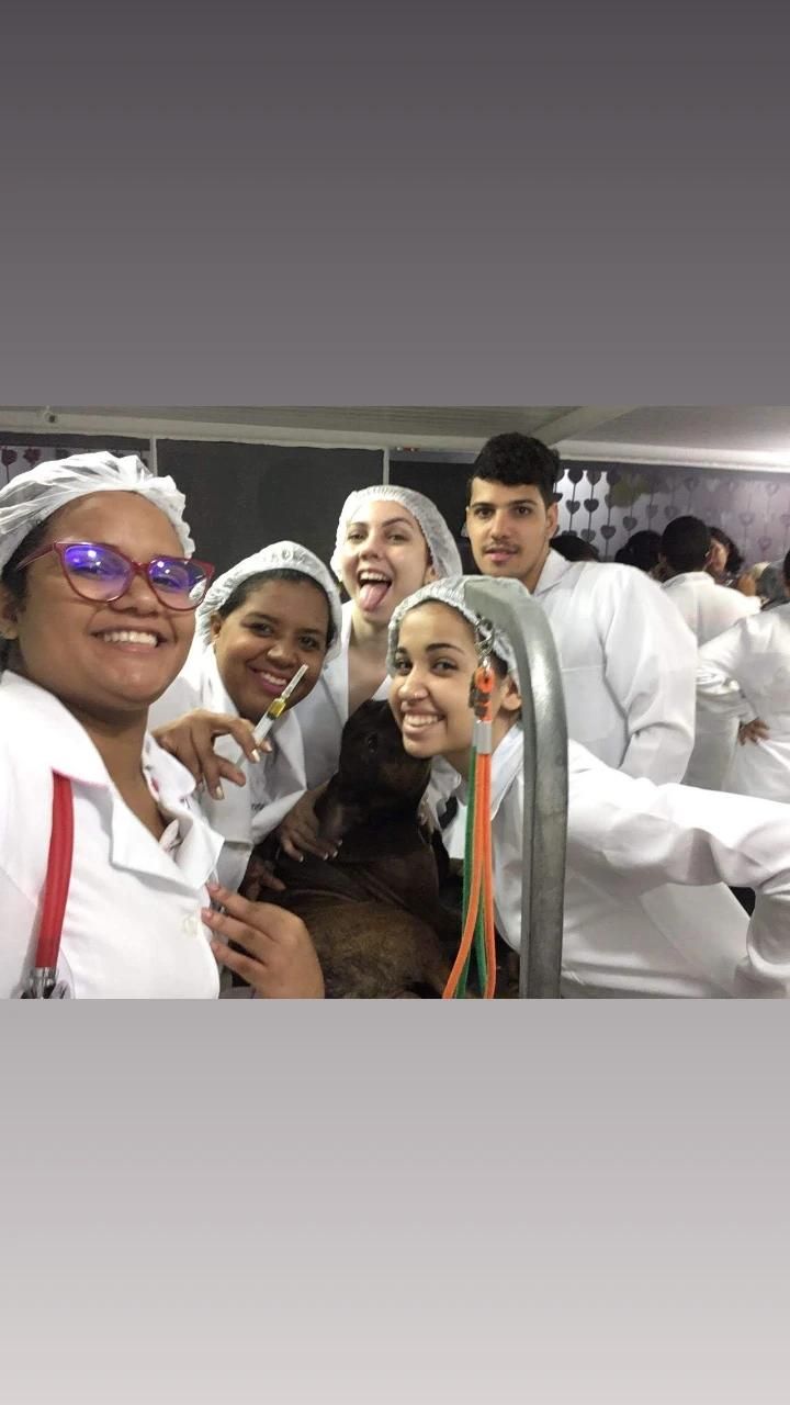 Galeria Jéssica Freitas Bueno