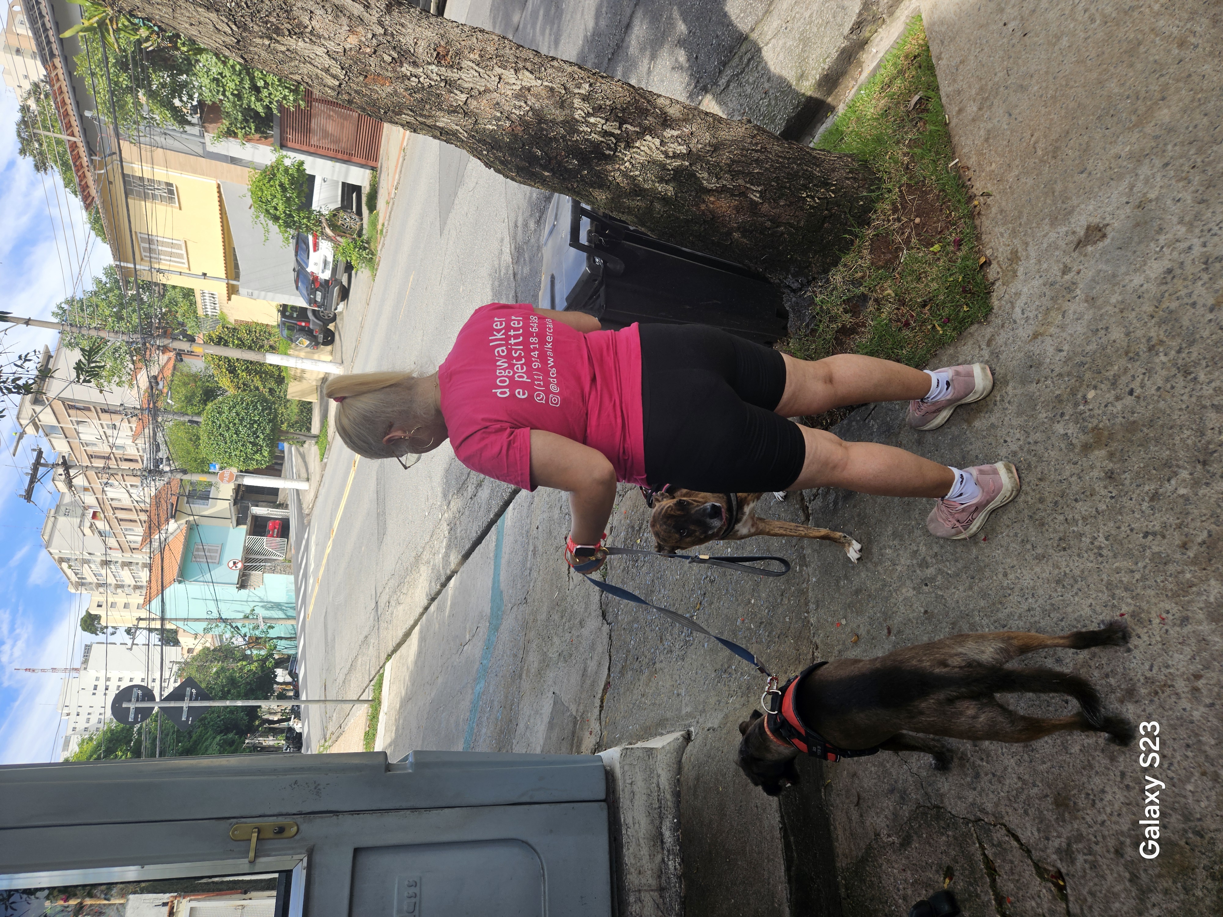 Galeria Carla Torres