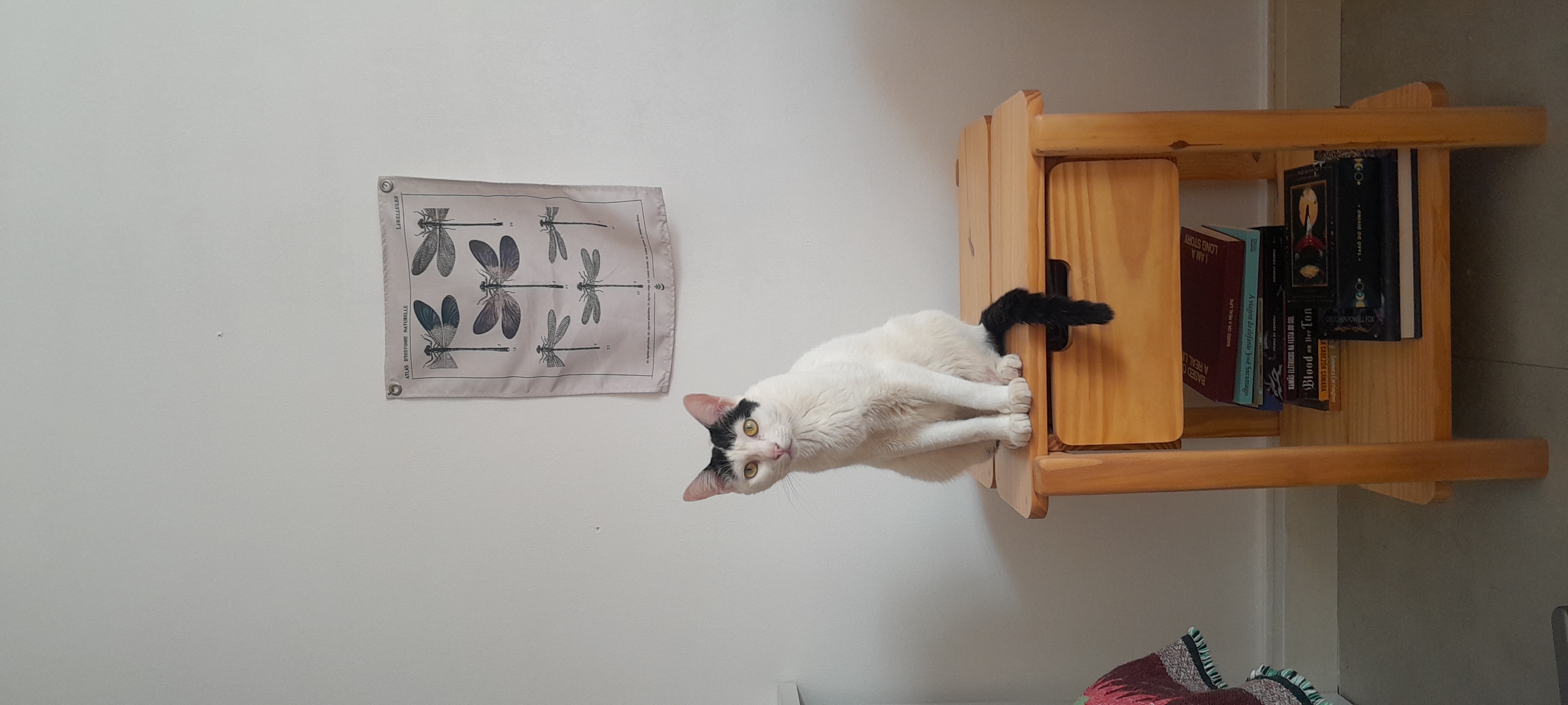 Capa Etiennette Jospin