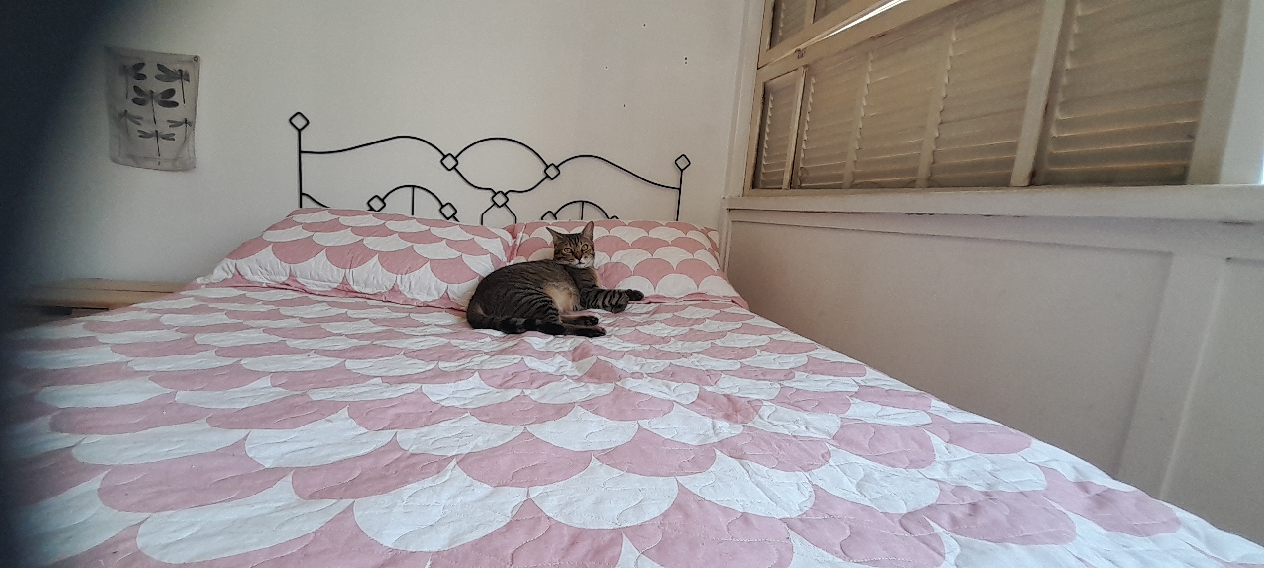 Galeria Etiennette Jospin