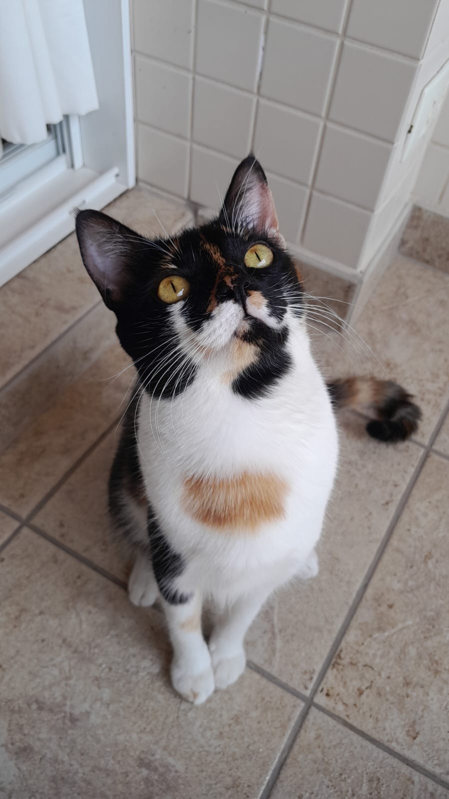 Galeria Etiennette Jospin