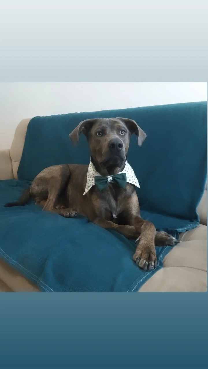 Galeria Etiennette Jospin