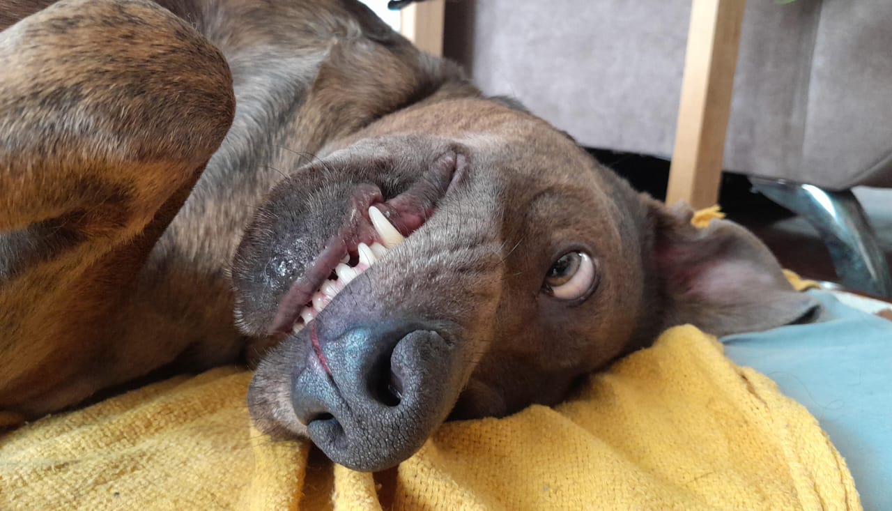 Galeria Etiennette Jospin