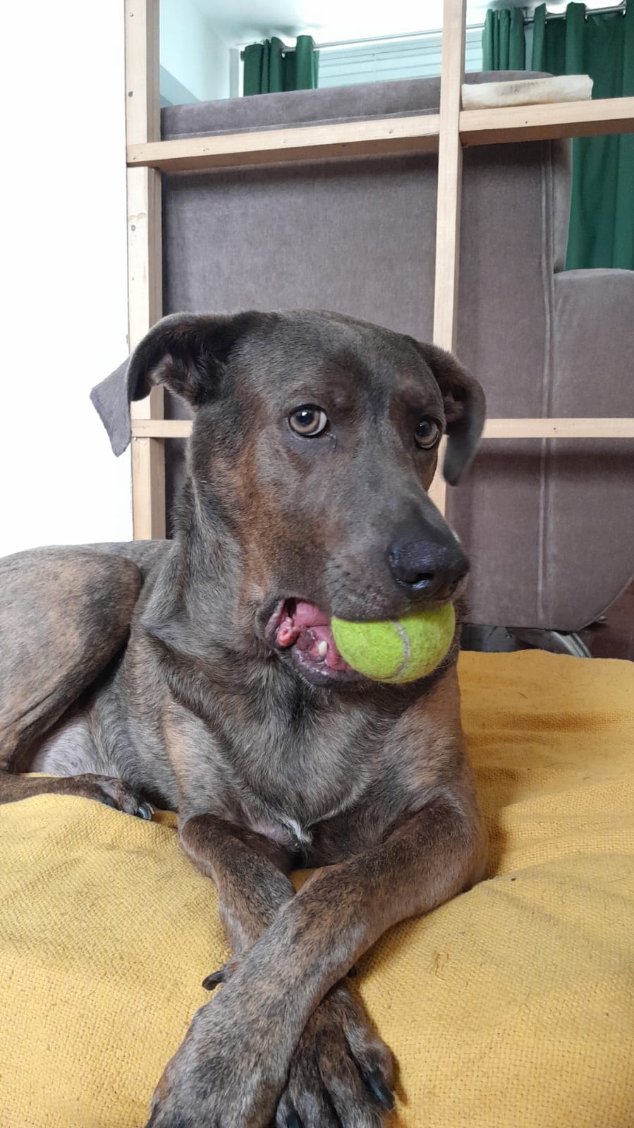 Galeria Etiennette Jospin