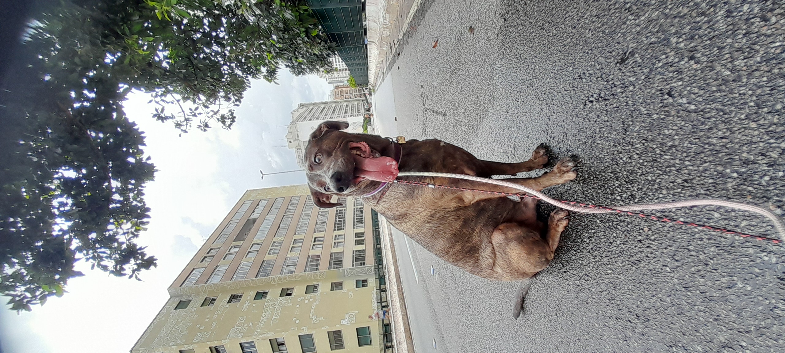 Galeria Etiennette Jospin