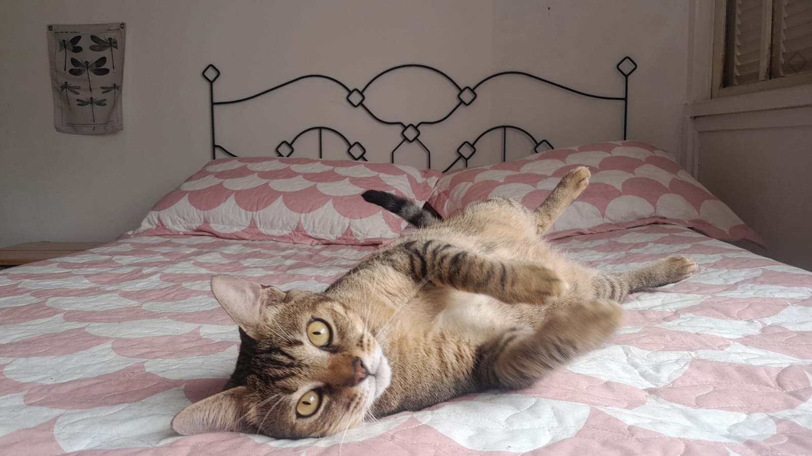 Galeria Etiennette Jospin