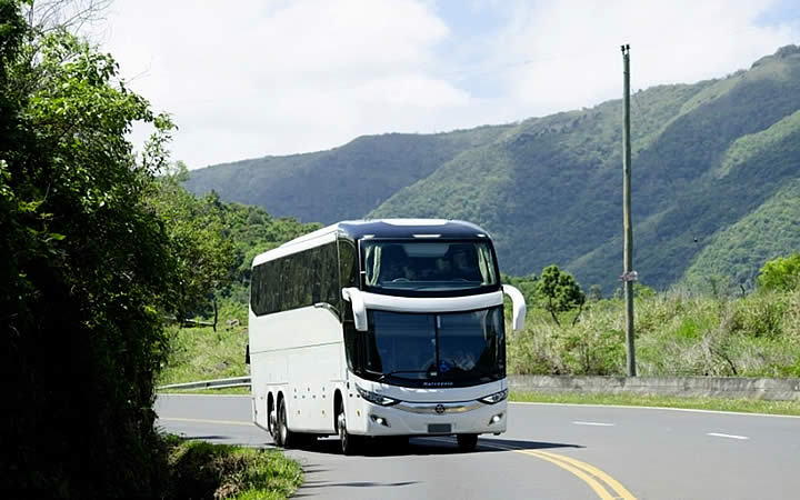 Galeria Rogério da Silva Santos