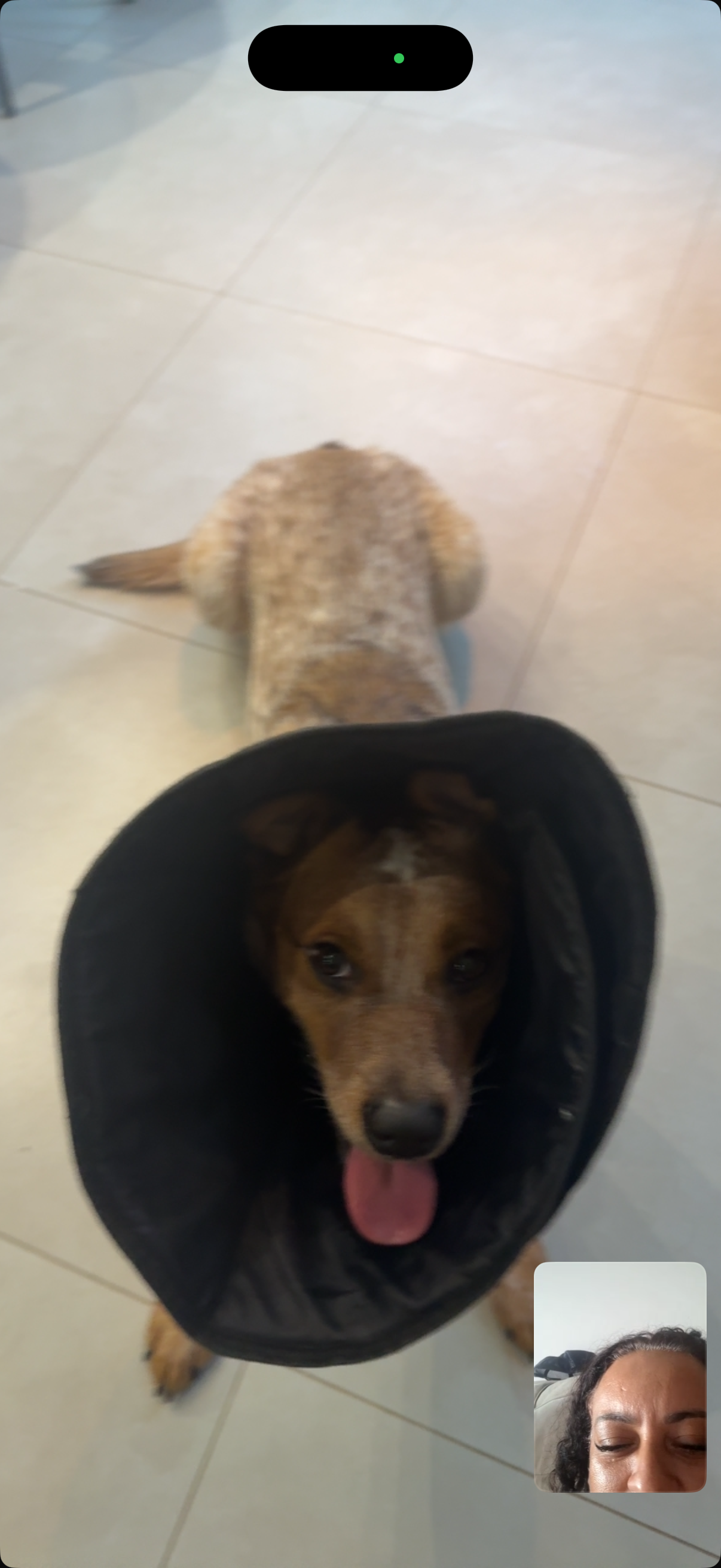 Galeria Rogério da Silva Santos