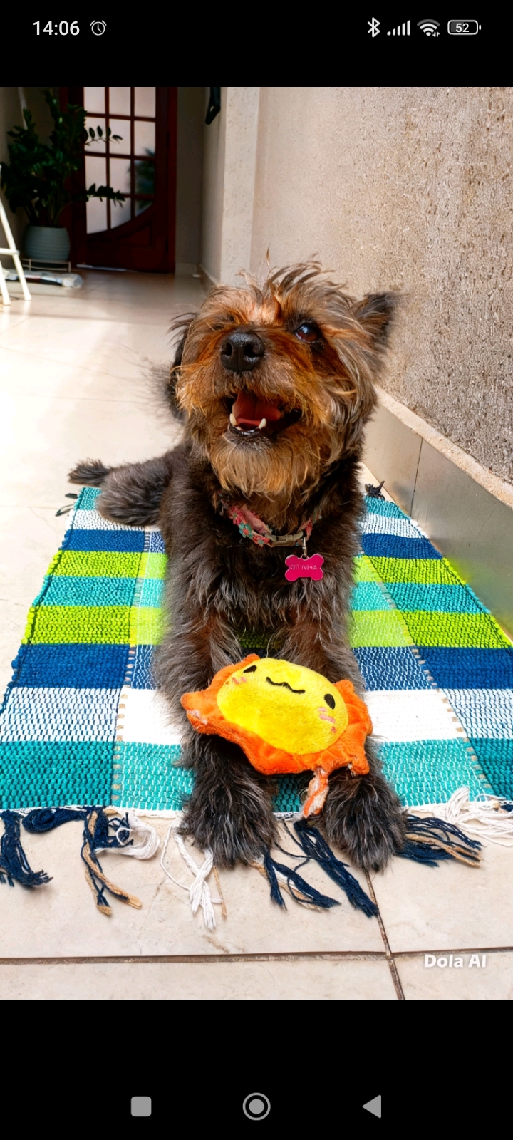 Capa Mariana Zebini Moura