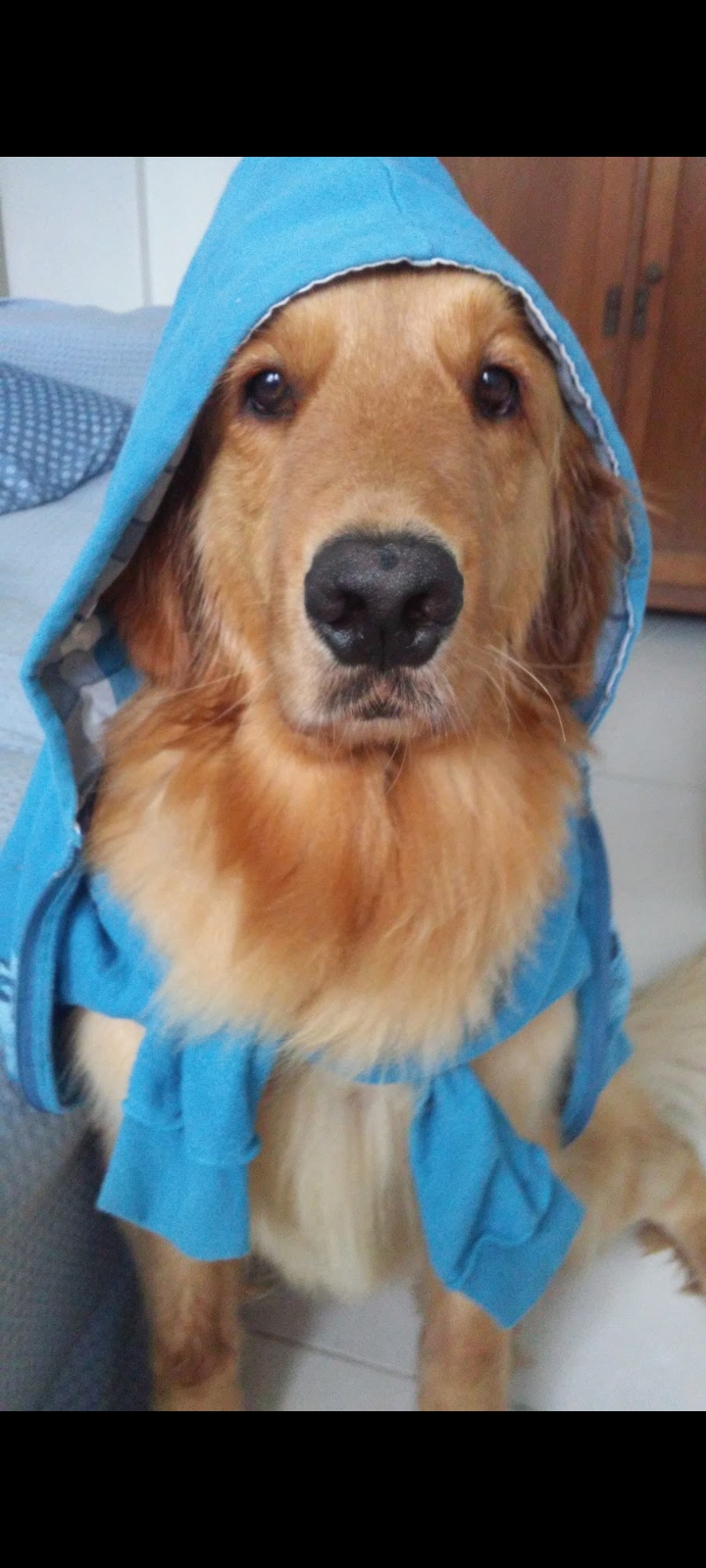 Galeria Mariana Zebini Moura