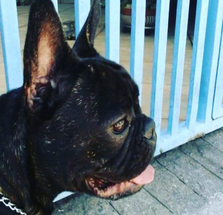 Galeria Mariana Zebini Moura