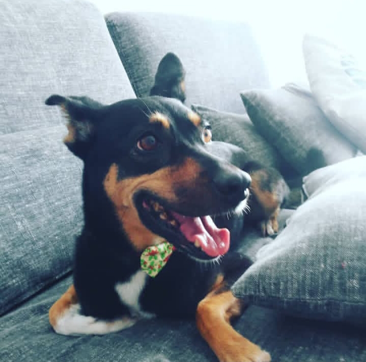 Galeria Mariana Zebini Moura