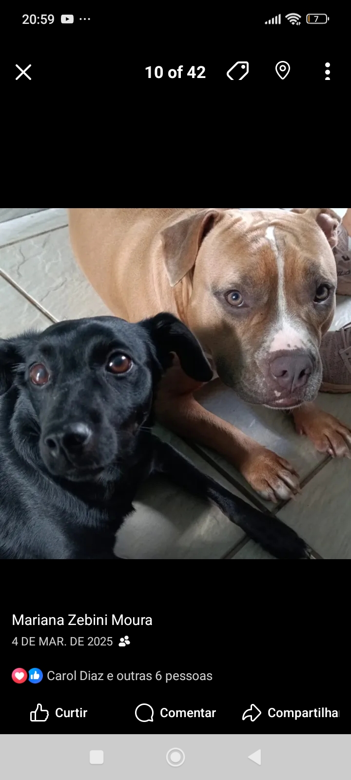 Galeria Mariana Zebini Moura