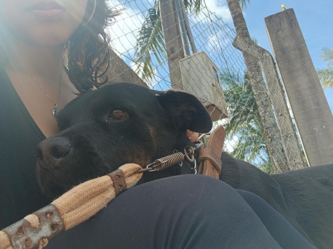 Capa Caroline Lopes Maximo