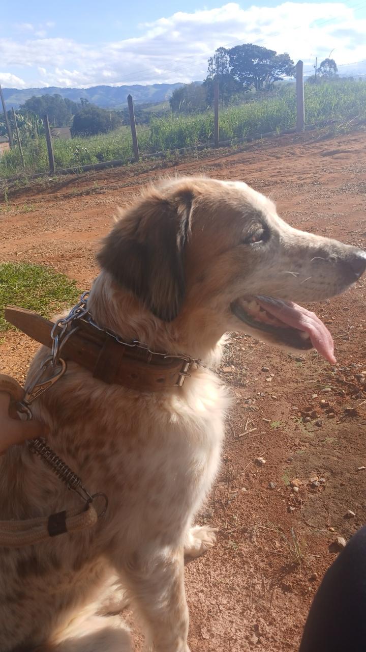 Galeria Caroline Lopes Maximo