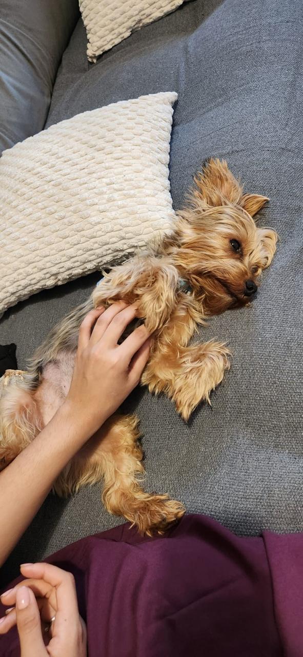 Galeria Caroline Lopes Maximo