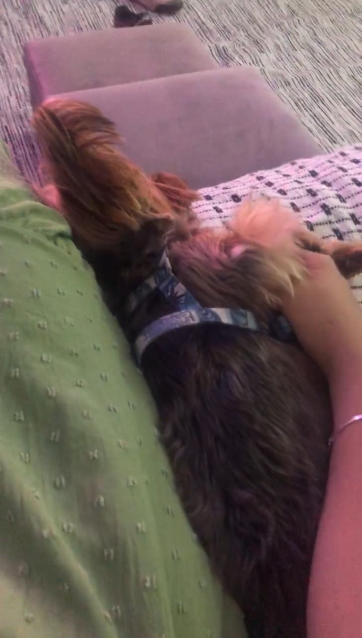 Galeria Caroline Lopes Maximo