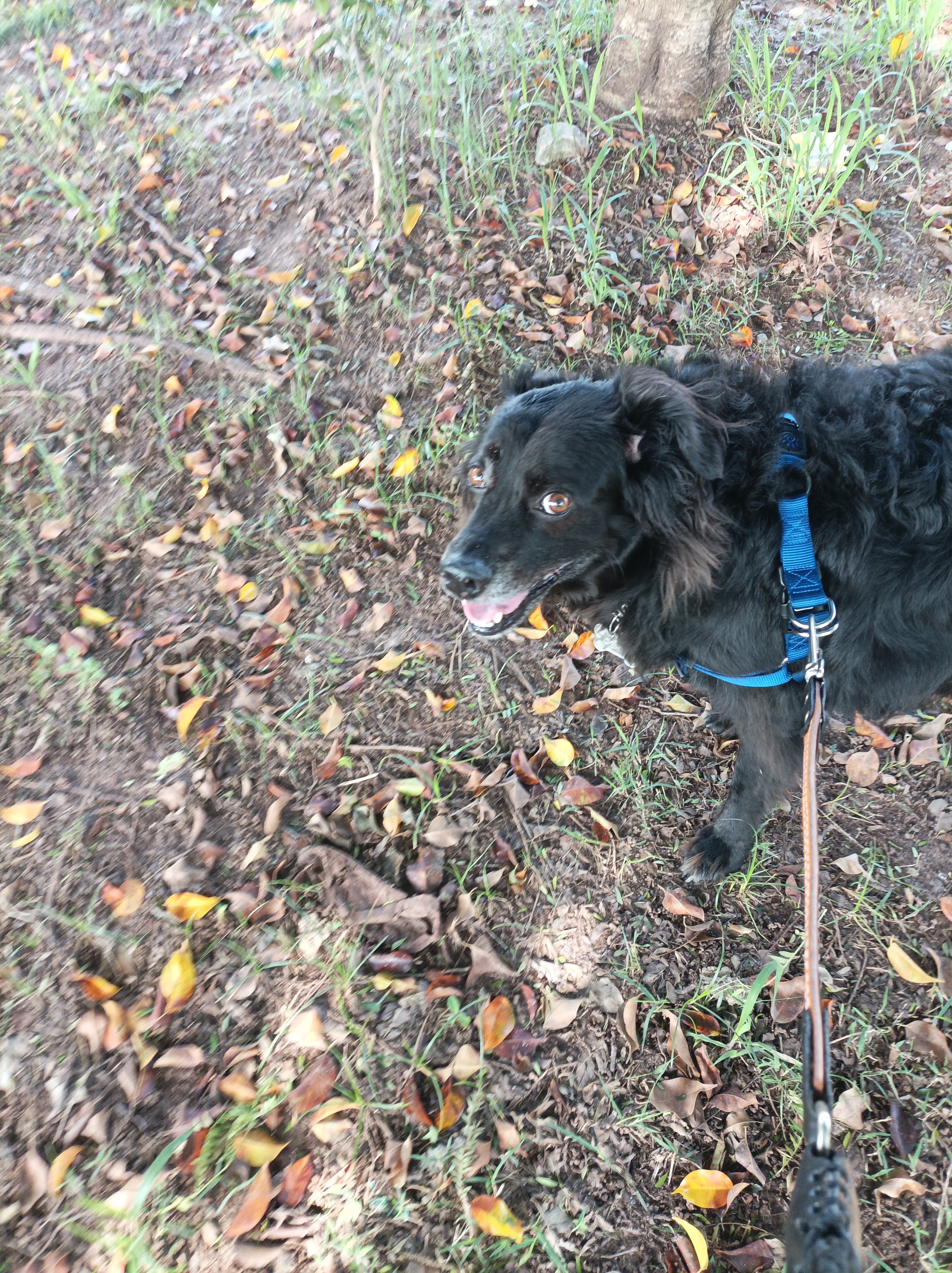 Galeria Renato Davi Formigoni