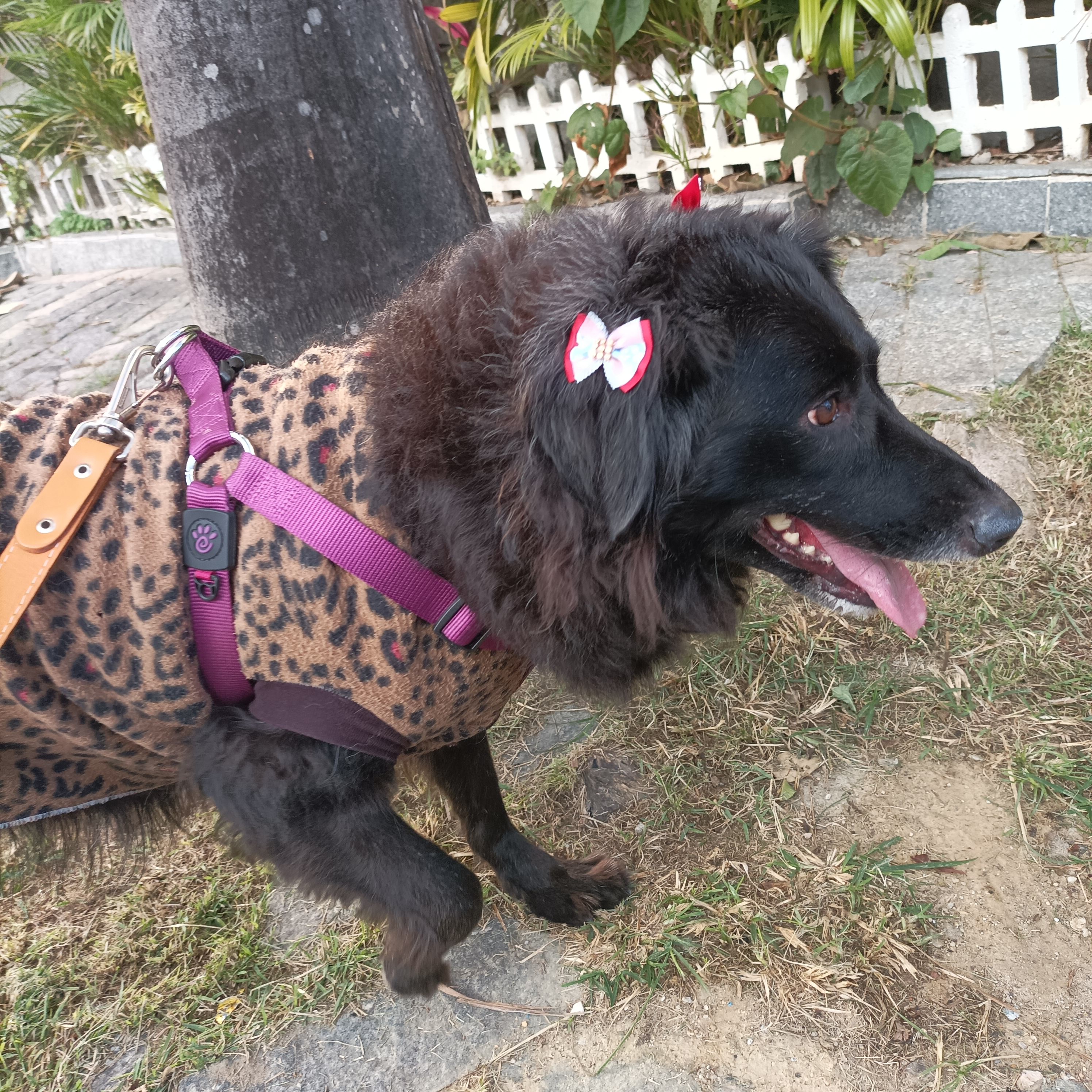 Galeria Renato Davi Formigoni