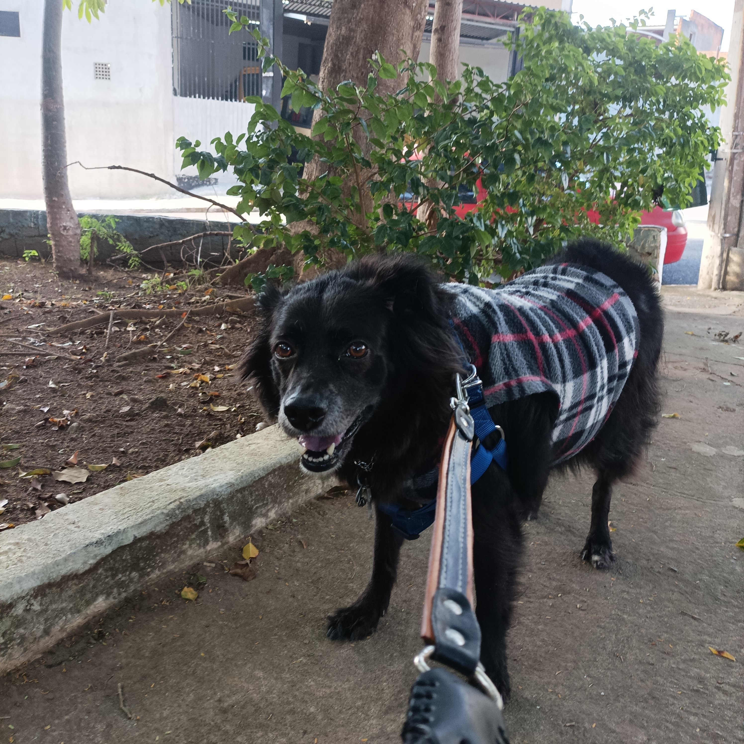 Galeria Renato Davi Formigoni