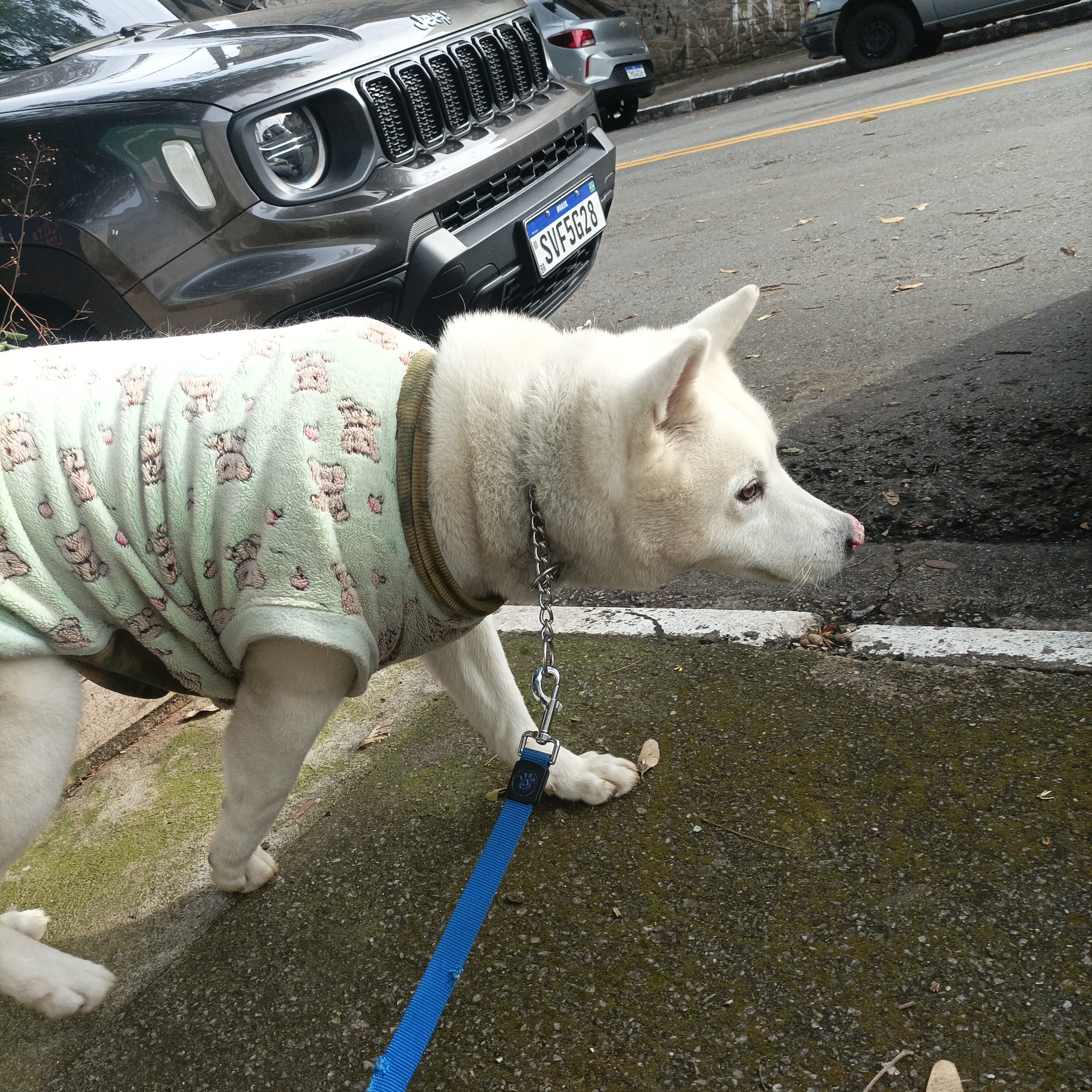 Galeria Renato Davi Formigoni