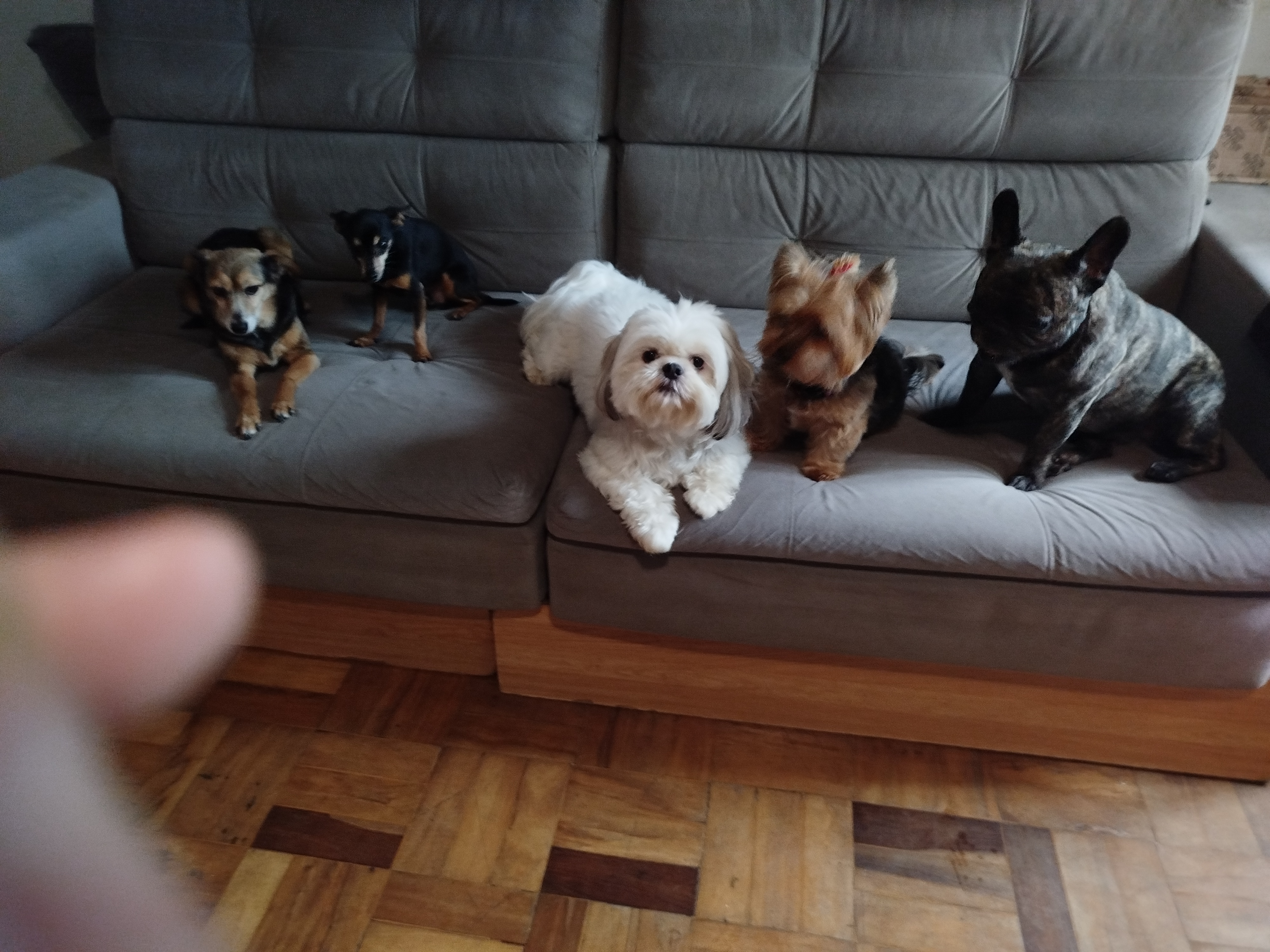Trabalho de Maria Cecília — foto 1