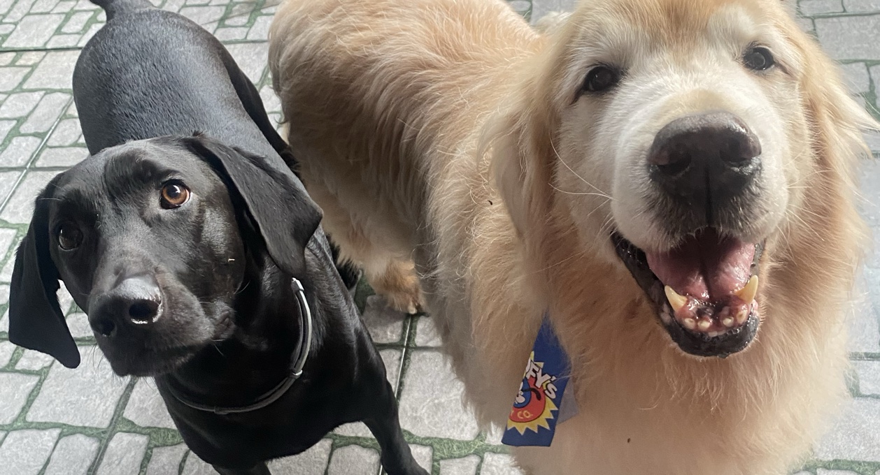 Foto de Thais luna