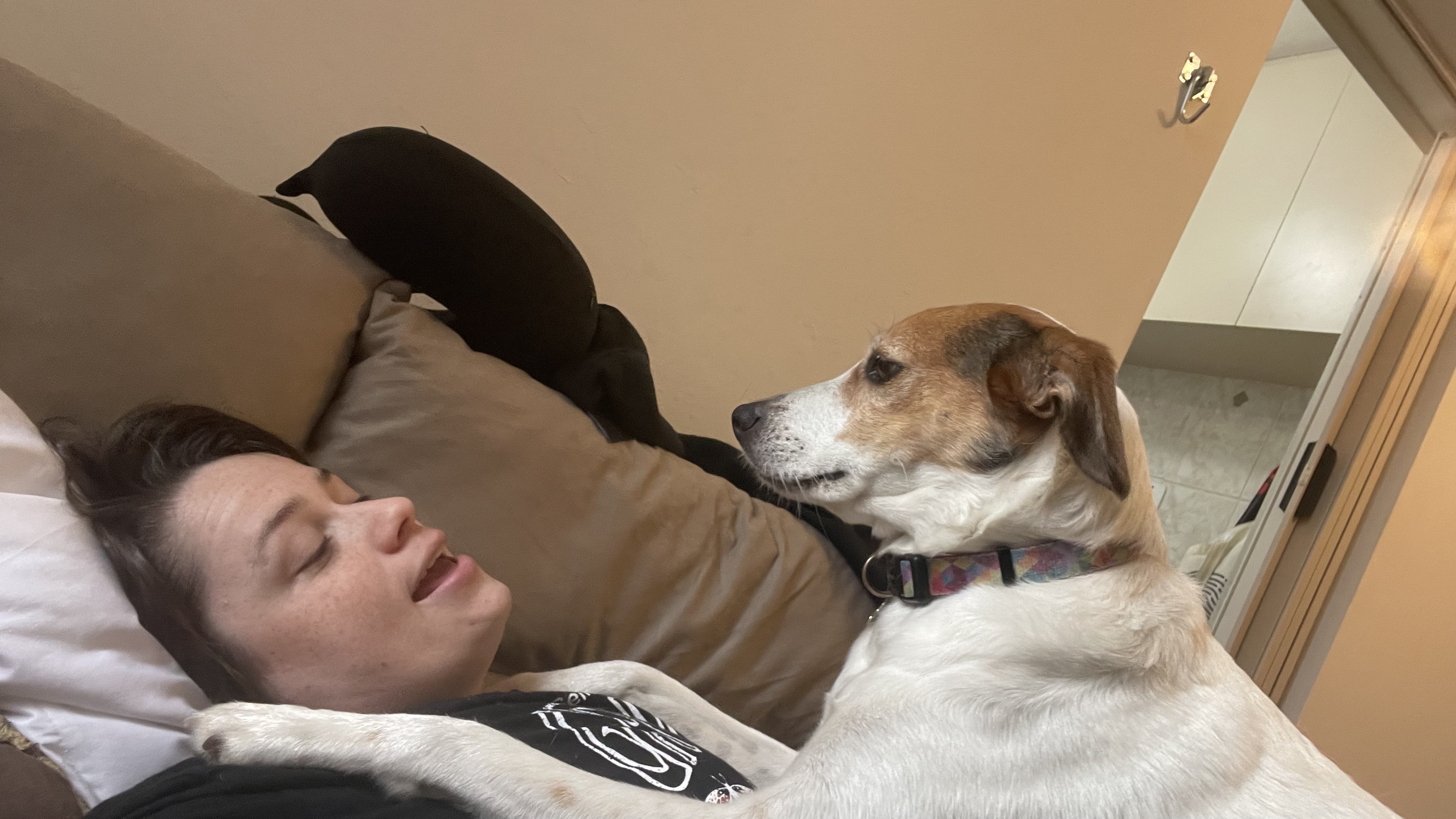 Galeria raquel schmidt