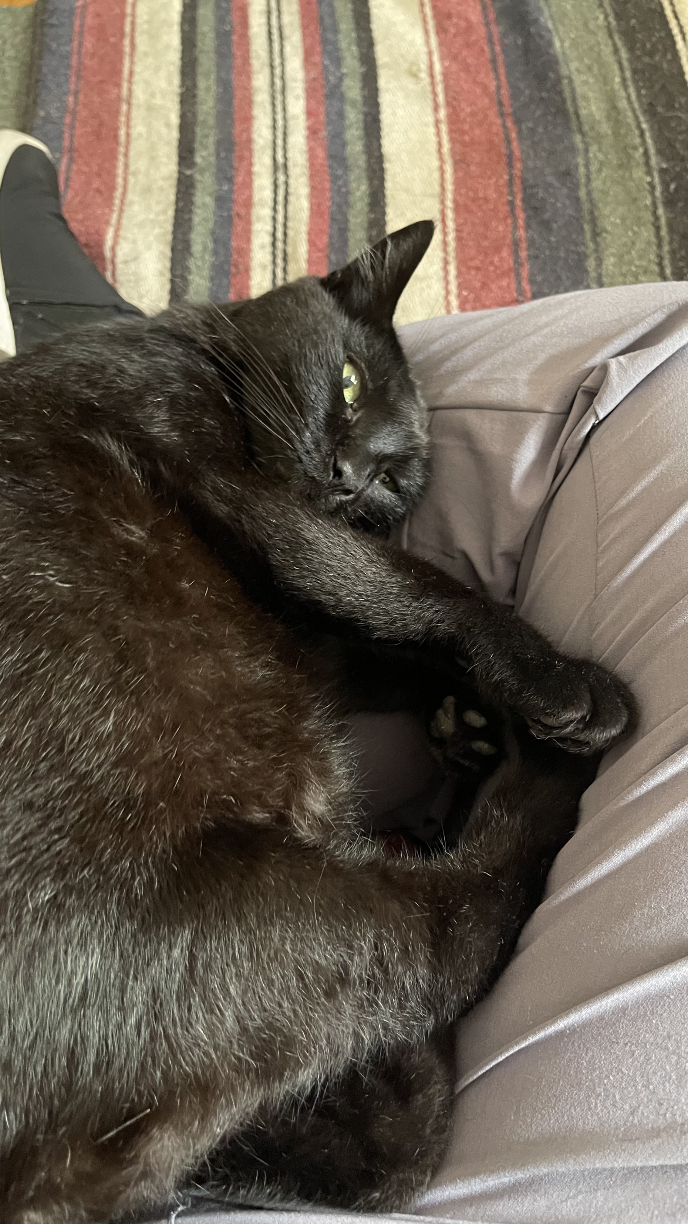 Galeria raquel schmidt