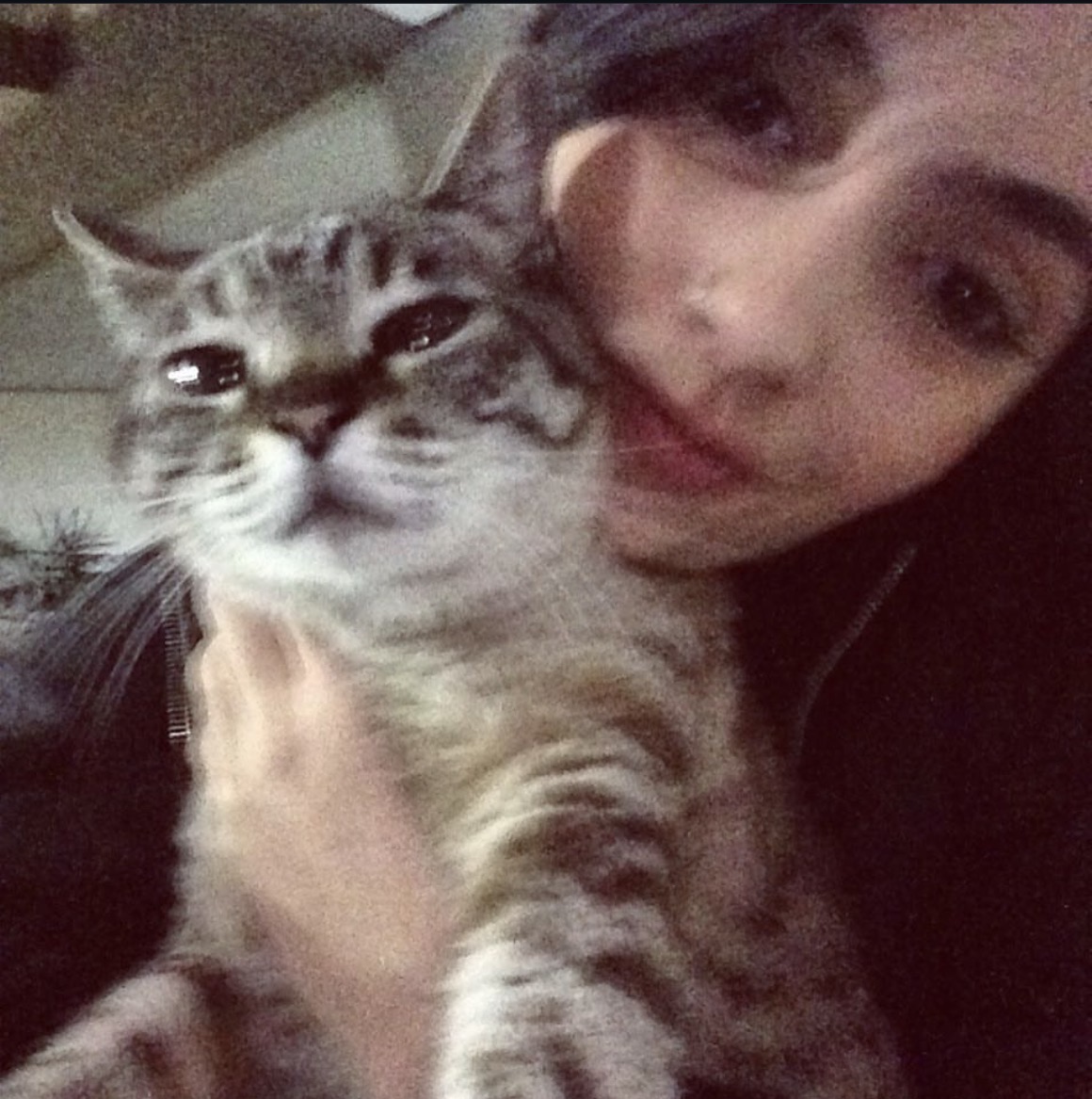 Galeria Tayane lopes