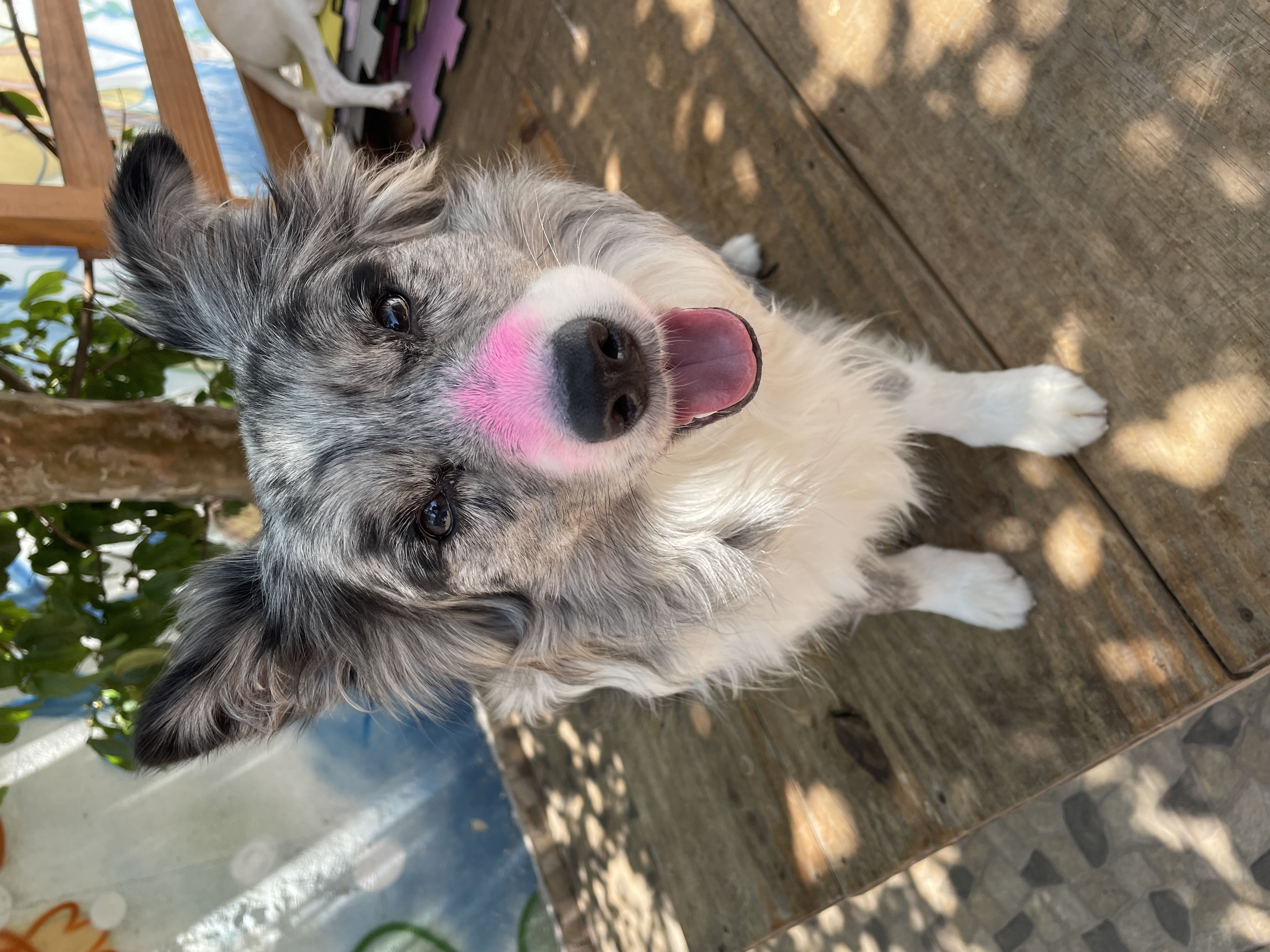 Galeria Tayane lopes