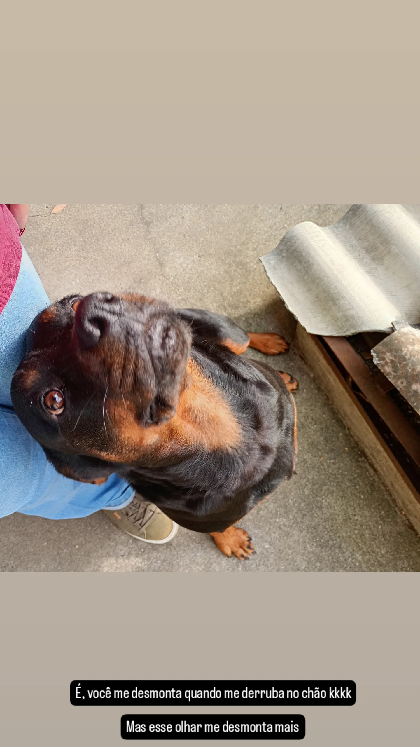 Galeria Juliana Gomes Vida