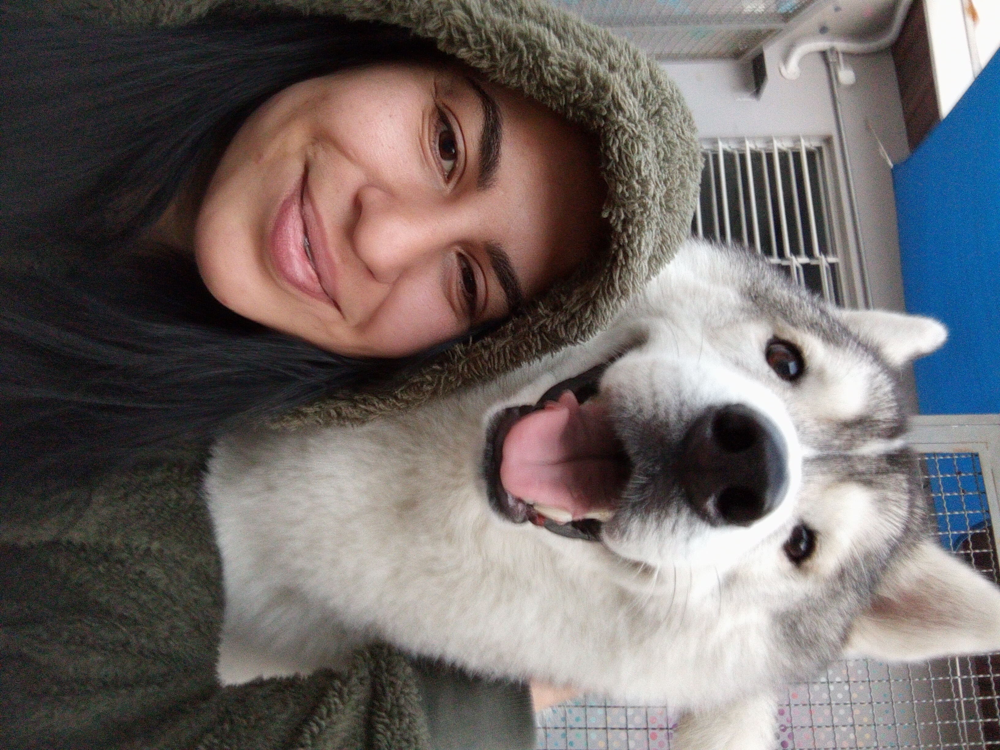 Galeria Juliana Gomes Vida