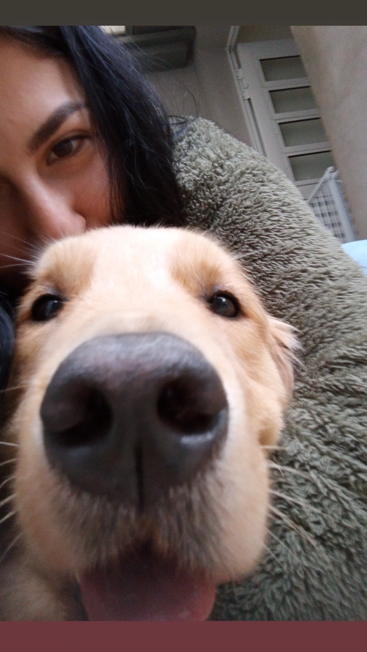 Galeria Juliana Gomes Vida