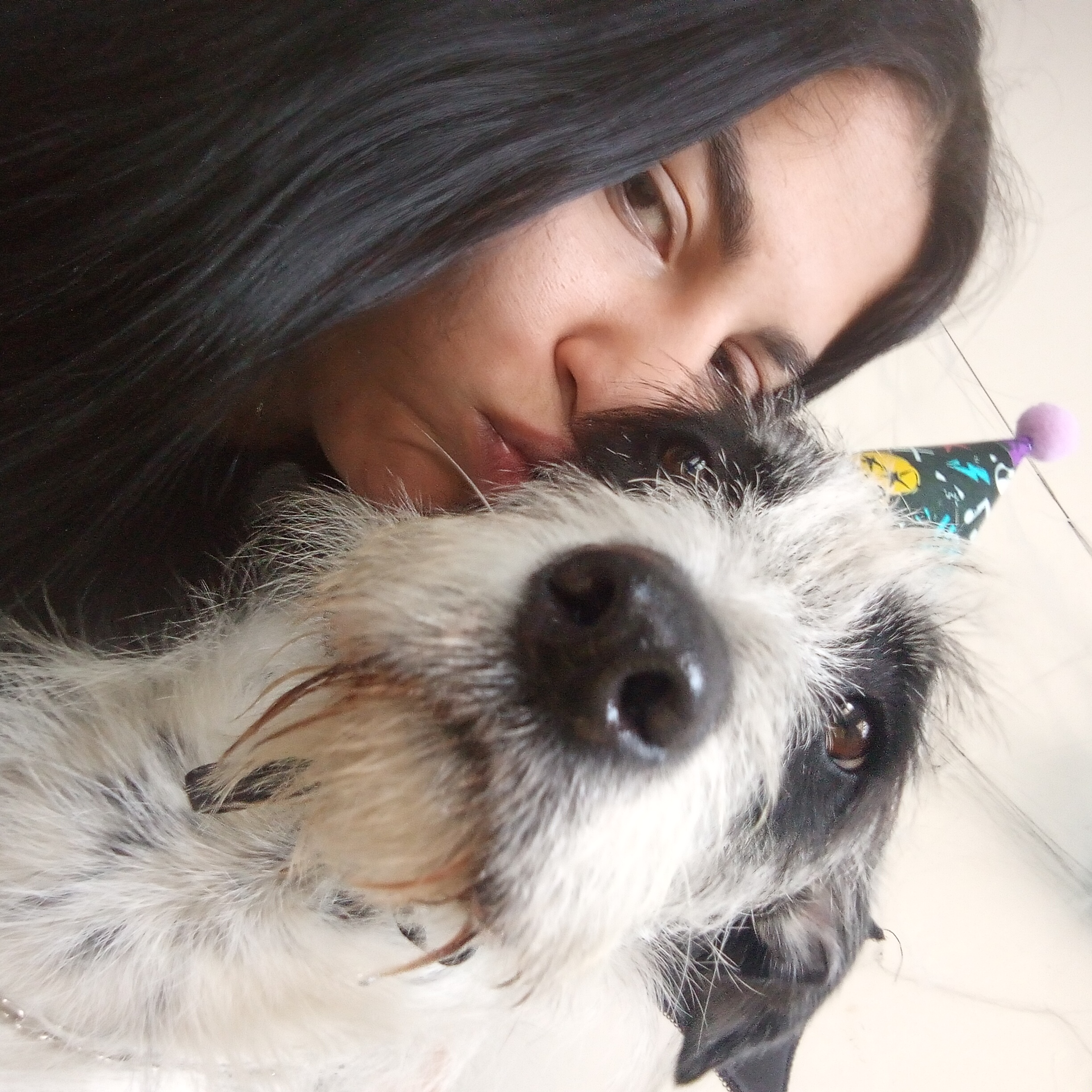 Galeria Juliana Gomes Vida