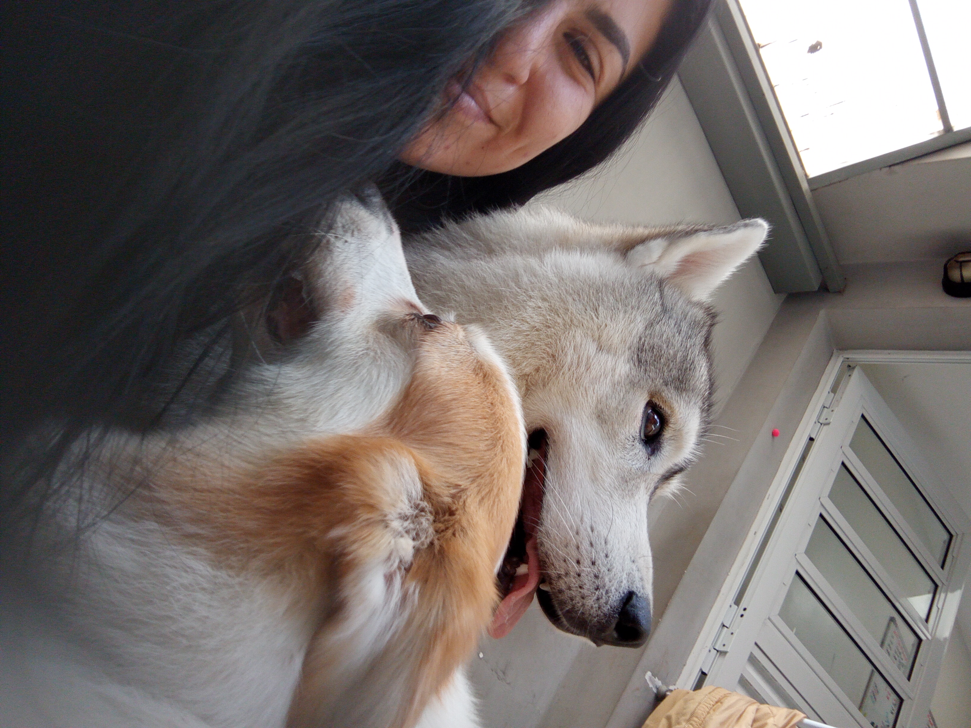 Galeria Juliana Gomes Vida