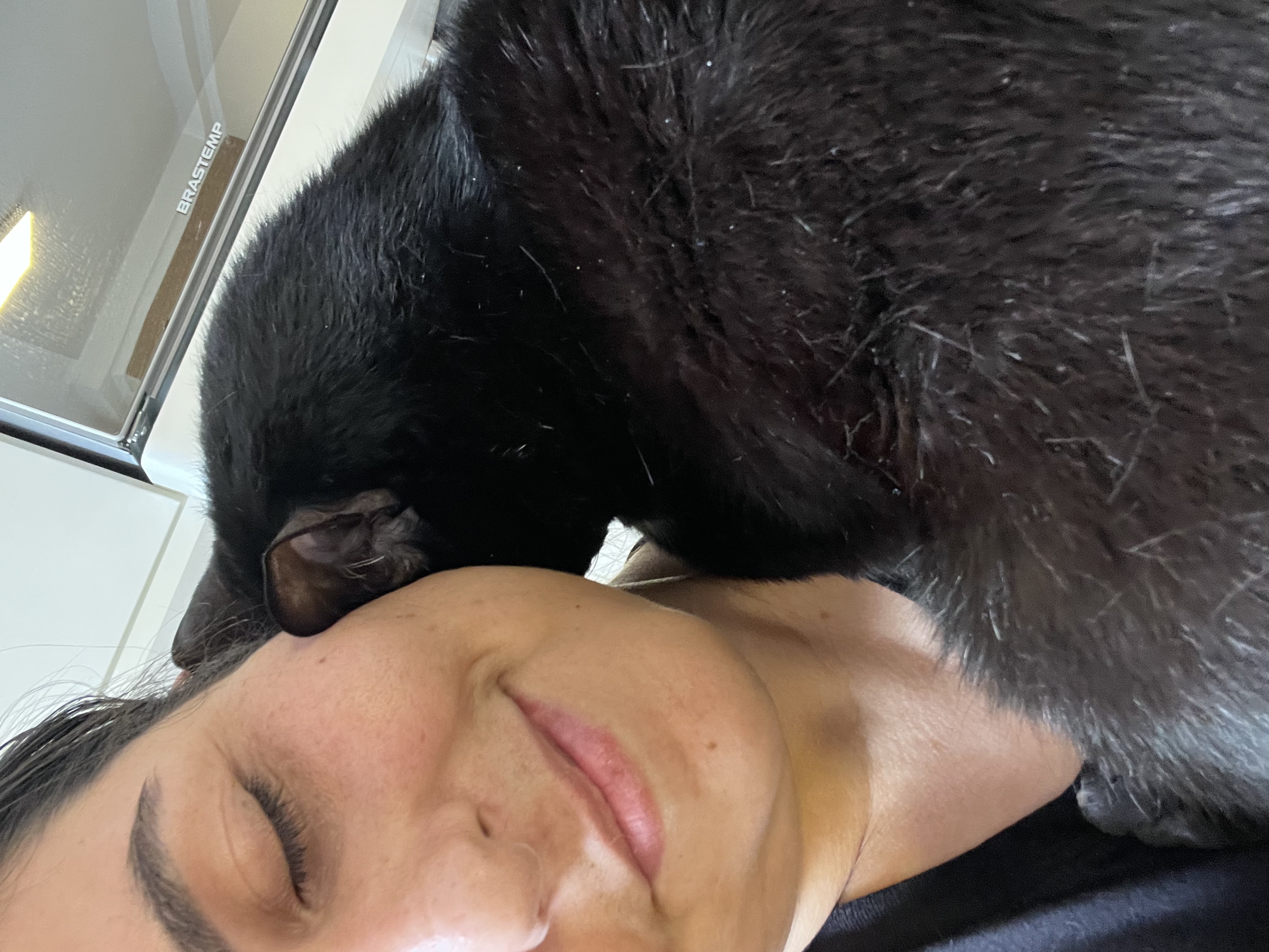 Galeria Lisley Gabrielle Carolino