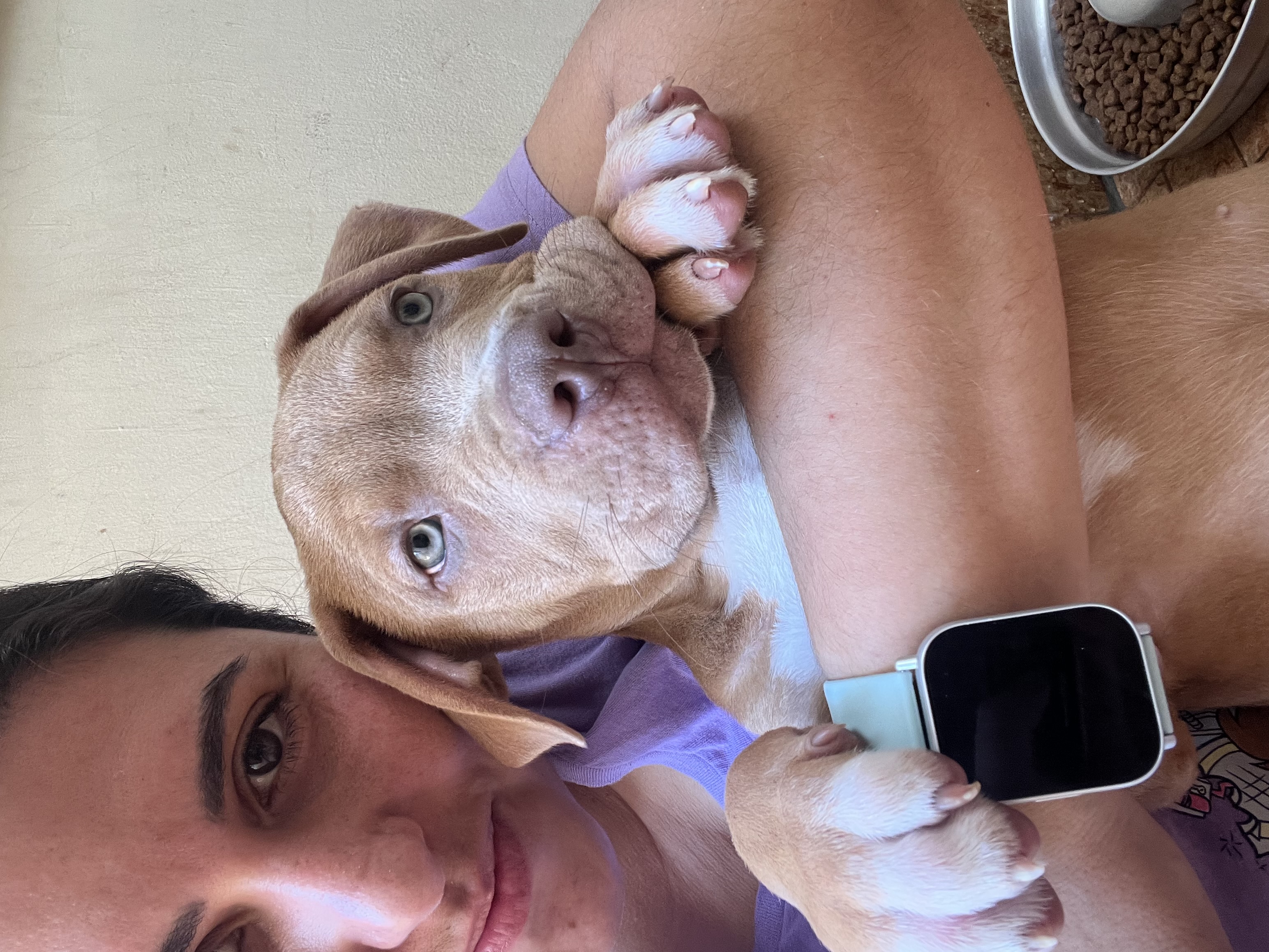 Trabalho de Lisley Gabrielle — foto 12