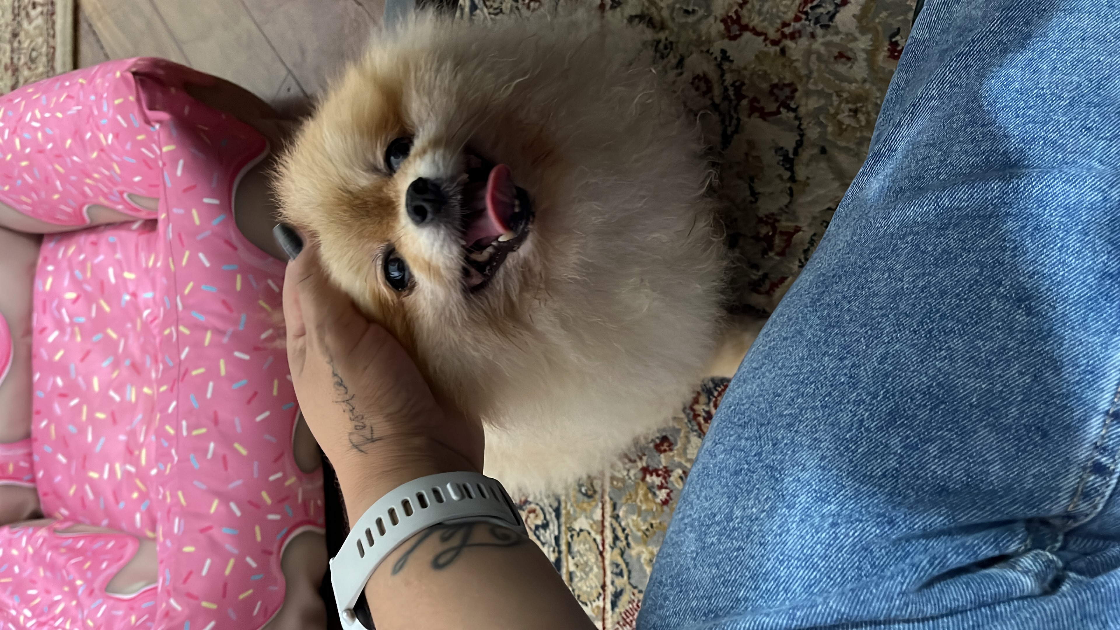 Galeria Lisley Gabrielle Carolino