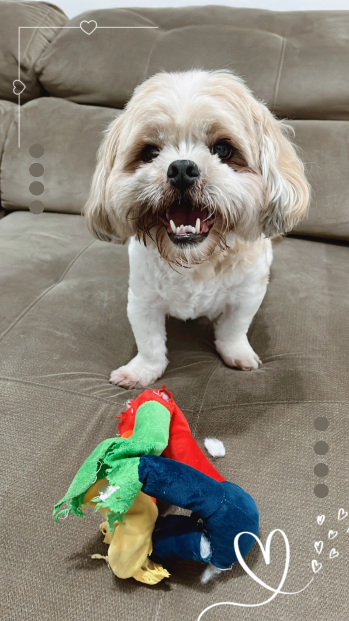 Galeria Lisley Gabrielle Carolino