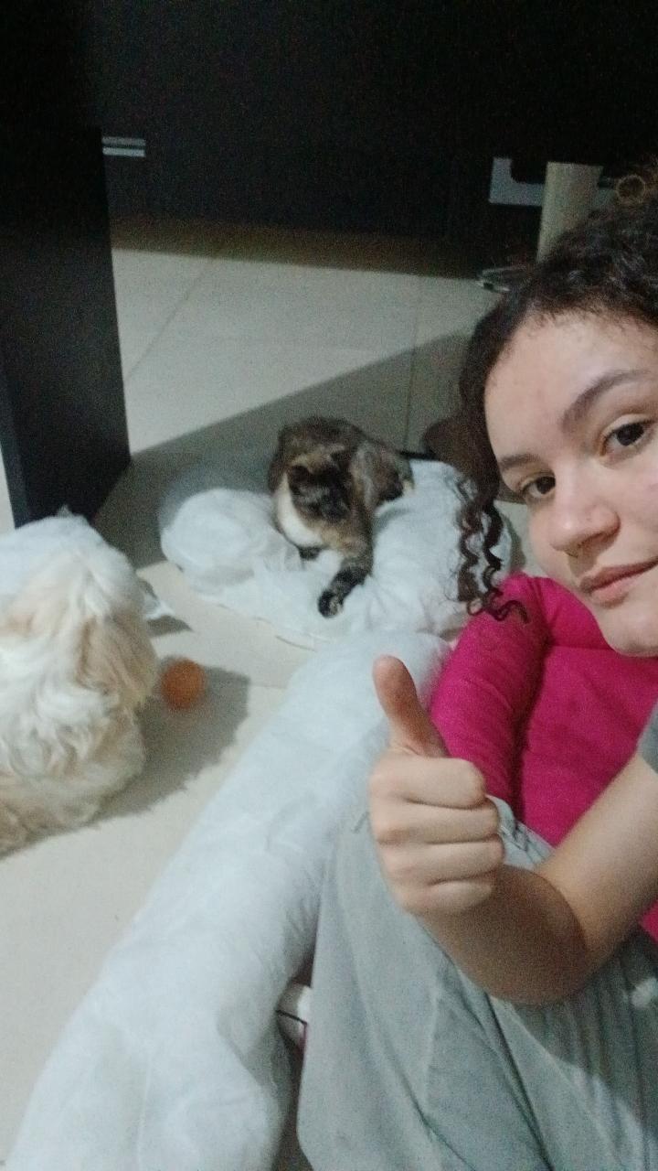 Trabalho de Emilly Cristina — foto 1