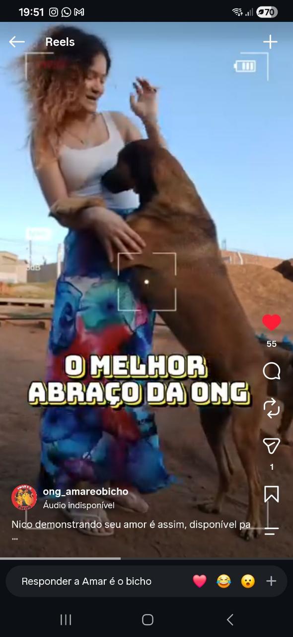 Trabalho de Emilly Cristina — foto 5