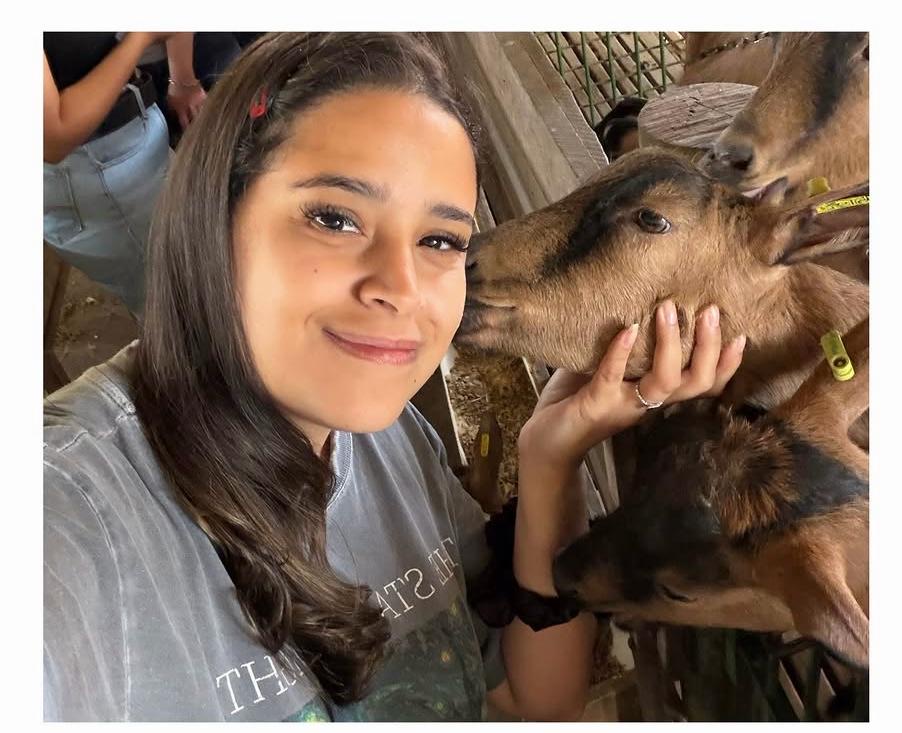 Trabalho de Rafaela Mota — foto 6