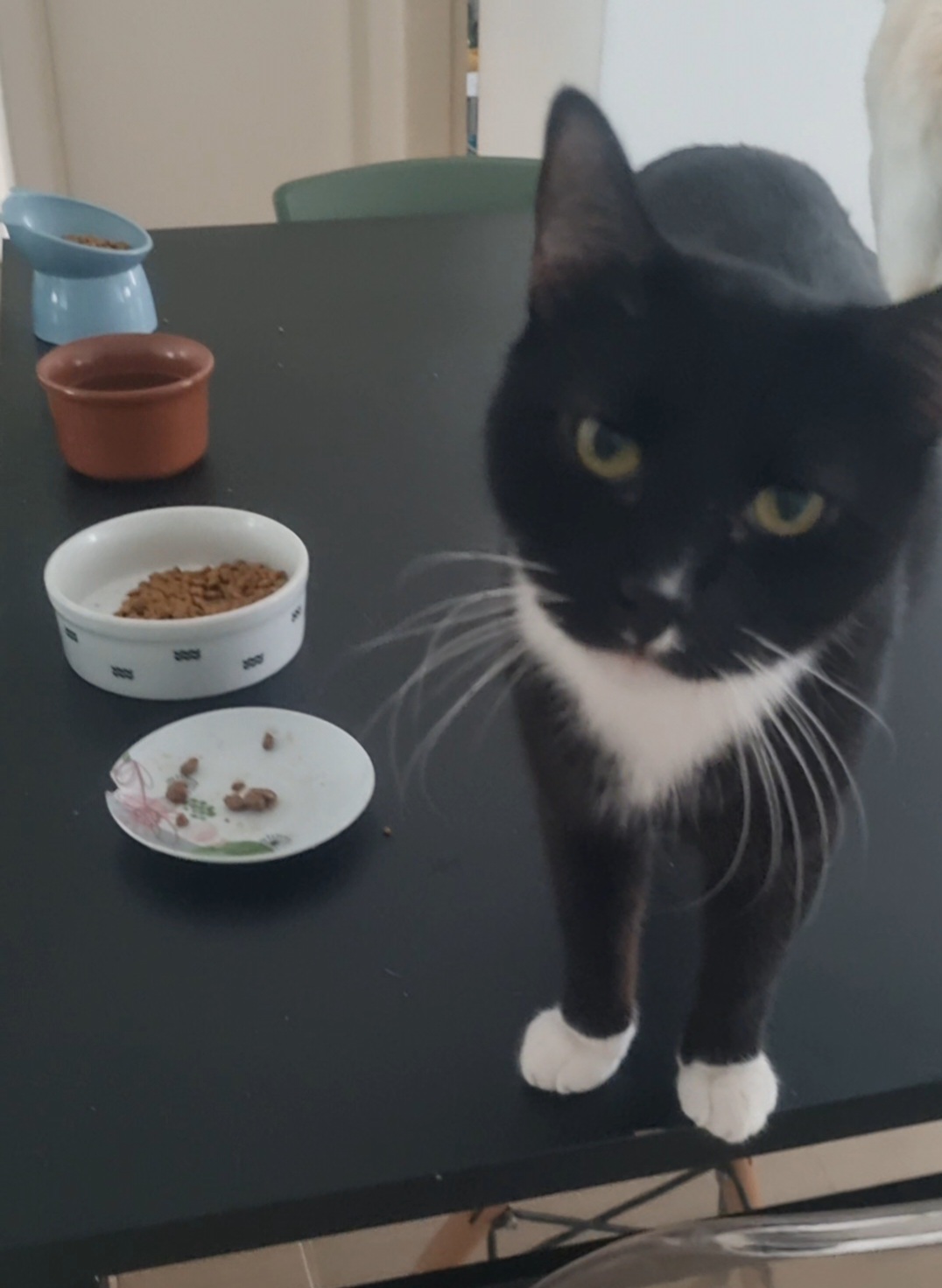 Galeria Marcia Sayuri Takeuti