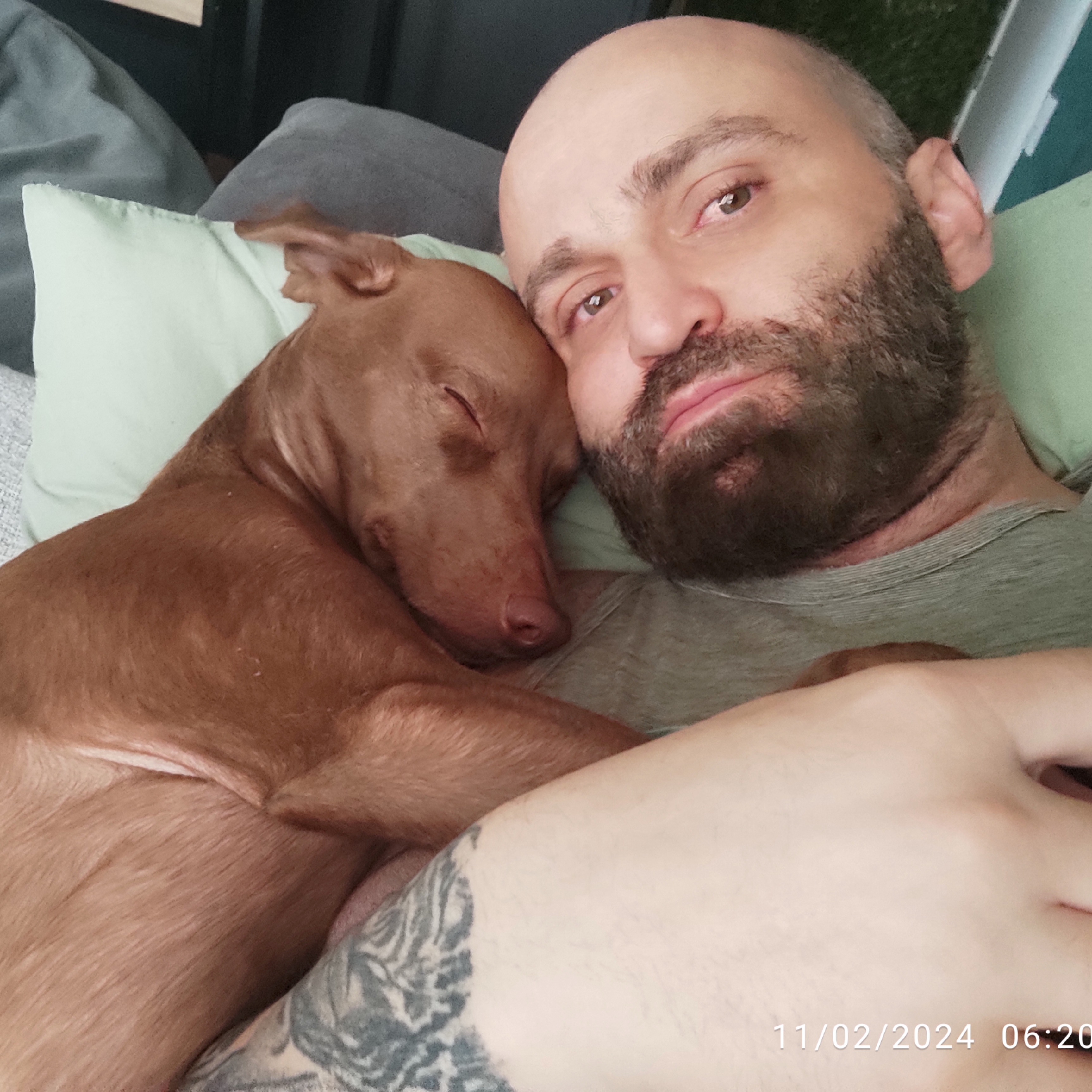 DANIEL PASCHOAL CAMARGO